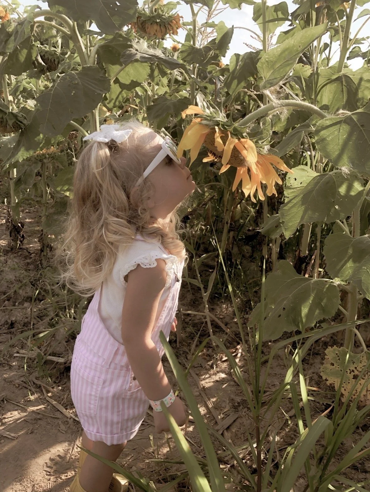 Neighborhood walk in Sheboygan County