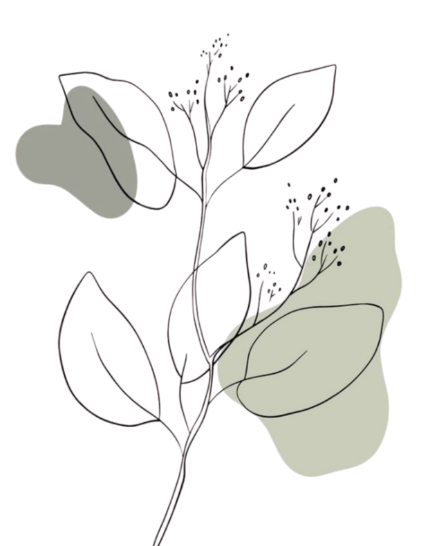 An abstract drawing of a plant with large leaves, a flower, and a stem, featuring minimalistic lines and soft muted colors.
