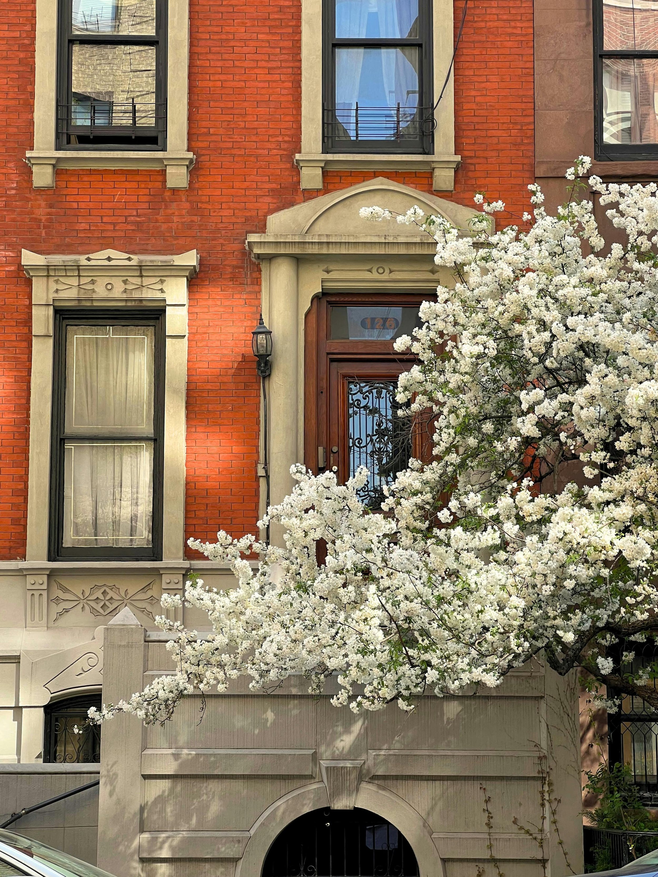 Therapy office in New York