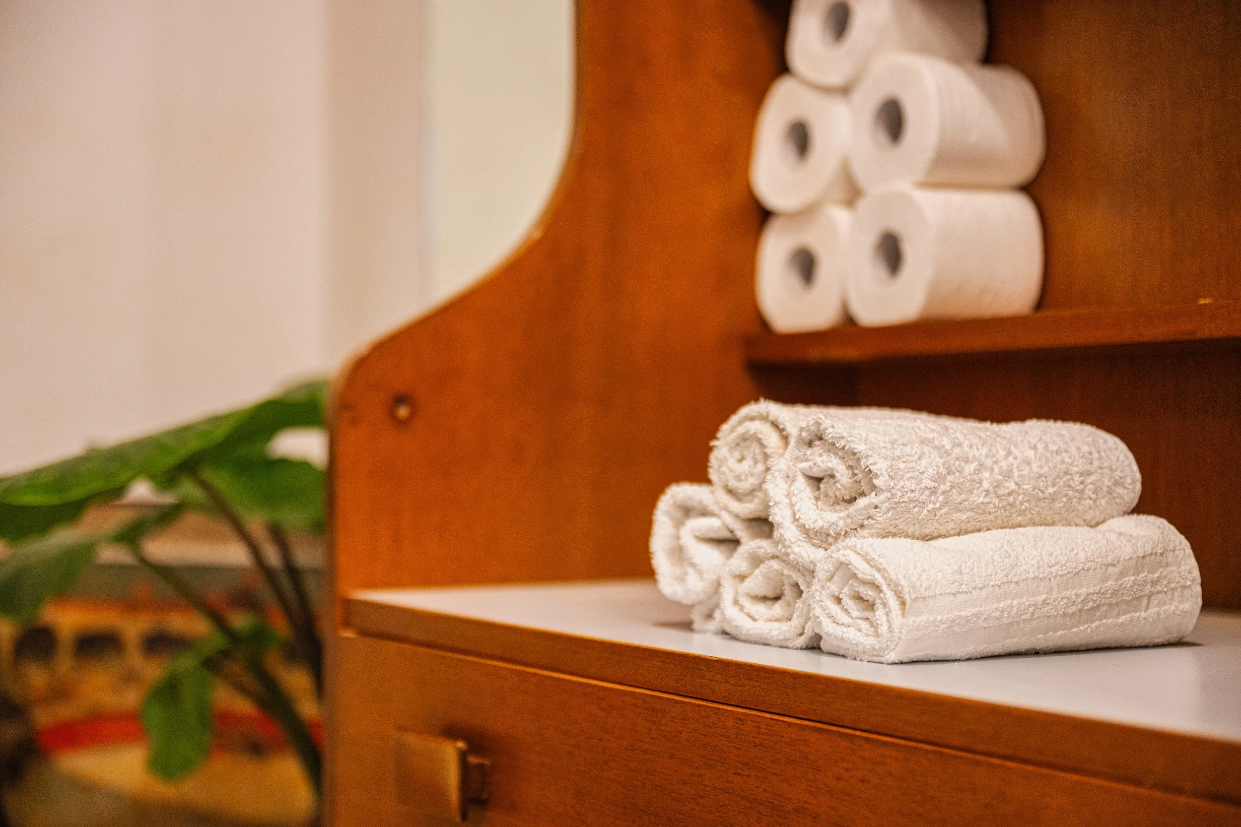 Asciugamani bianchi piegati su un mobile in legno, con rotoli di carta igienica sullo sfondo. Sul lato sinistro, alcune foglie di una pianta verde.