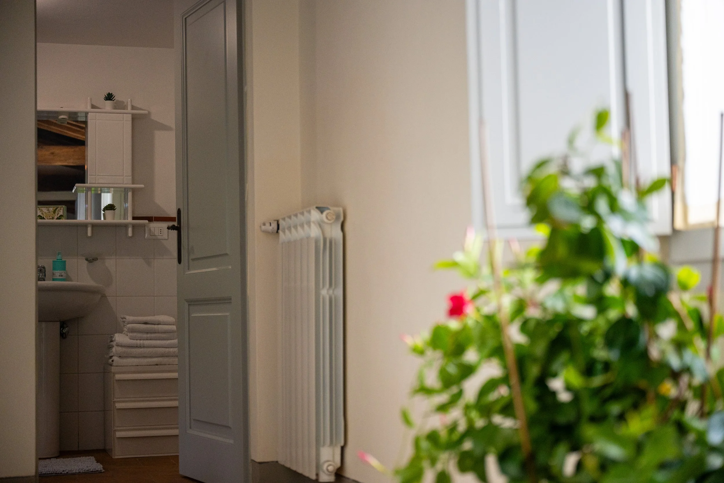 Interno di una stanza con una finestra aperta, un termosifone bianco e una pianta verde con fiori rossi in primo piano.