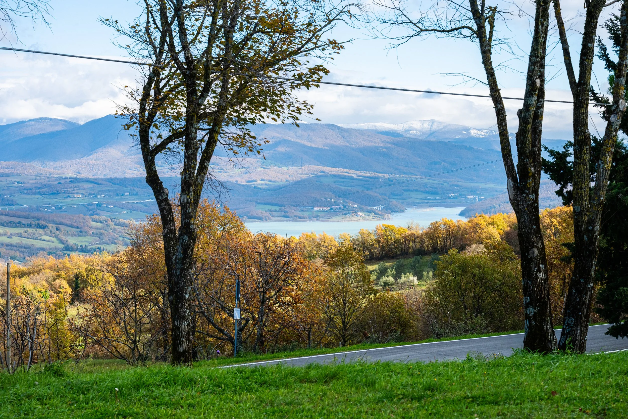 Paesaggio naturale con alberi in primo piano, un lago nel mezzo e montagne sullo sfondo, con cielo parzialmente nuvoloso.