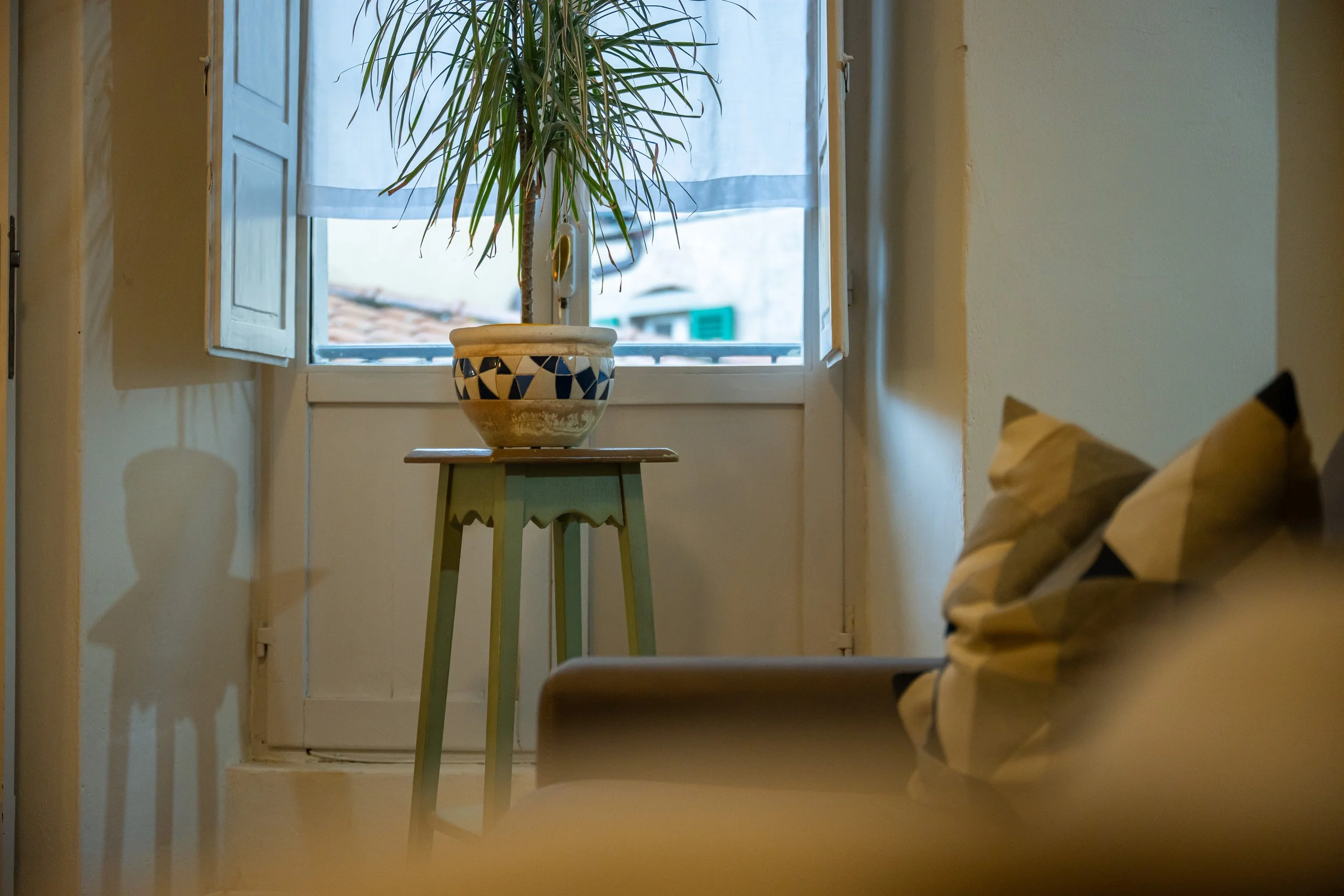 Interno con vaso con pianta sulla finestra, cuscini sul divano, luce naturale.