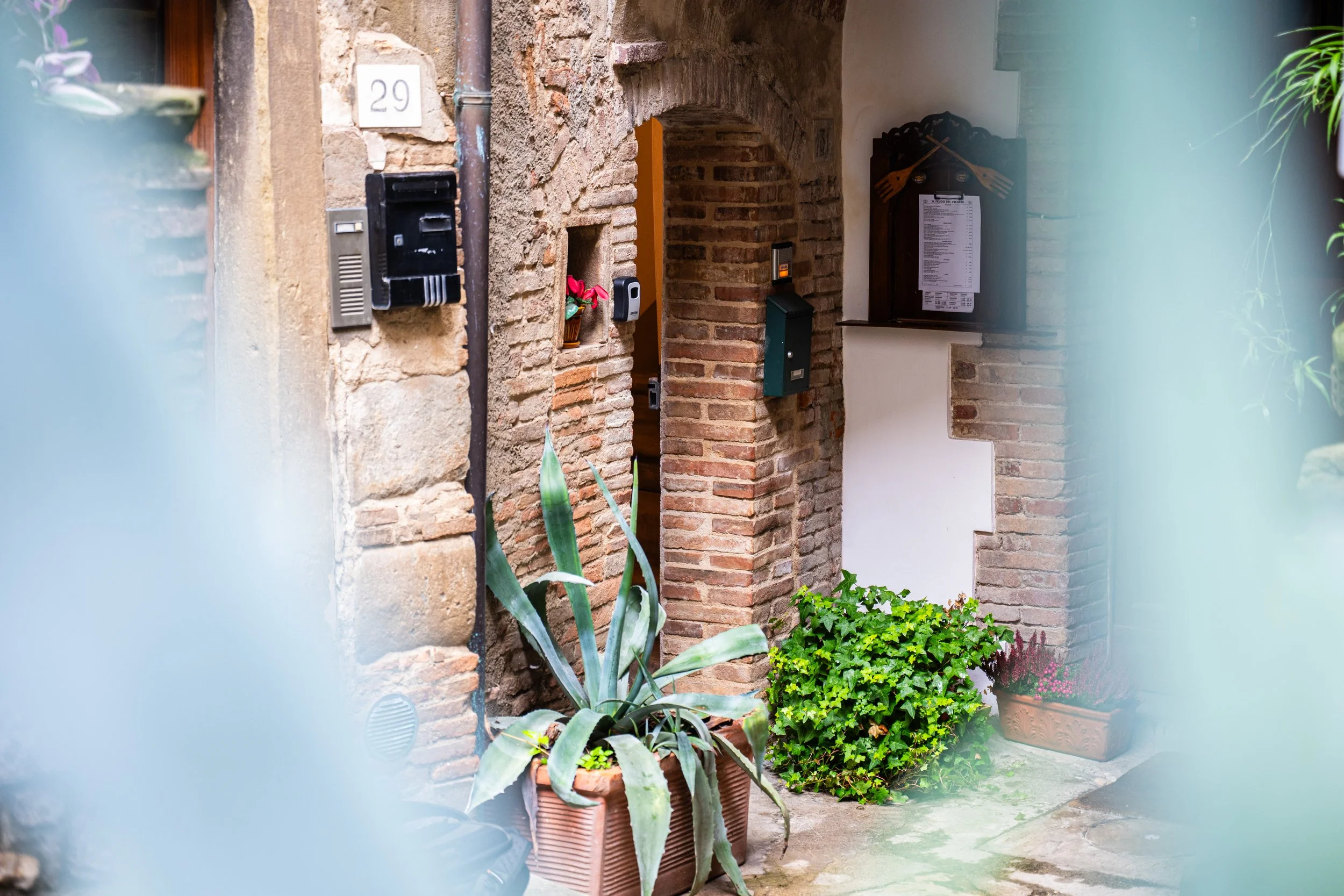 Ingresso di una casa con muro in mattoni e piante in vaso, alcune al centro e altre ai lati, visibile attraverso un'apertura.