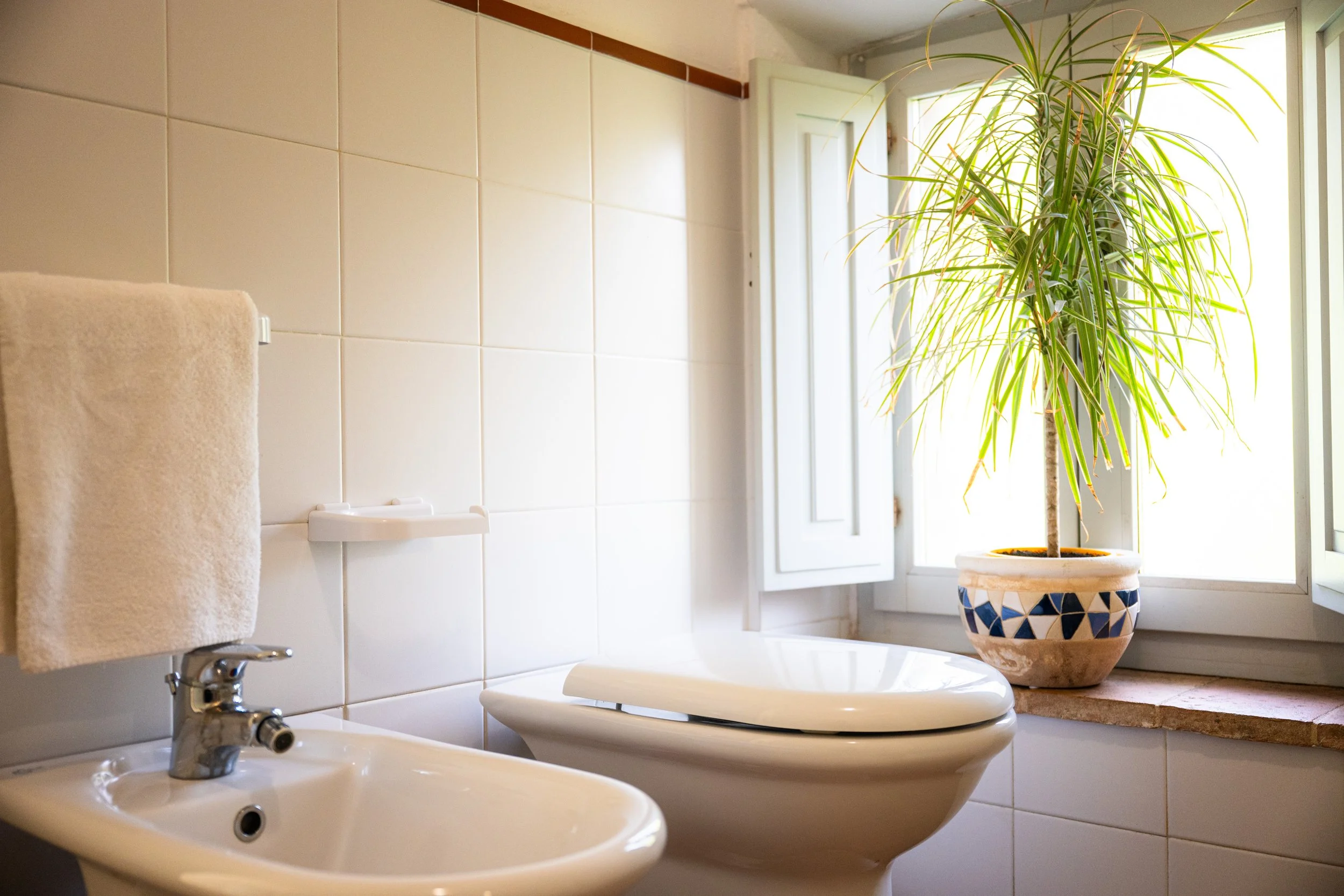 Bagno con bidet e toilette, tenda da doccia, pianta di grandi dimensioni sulla finestra, pareti rivestite con piastrelle bianche.