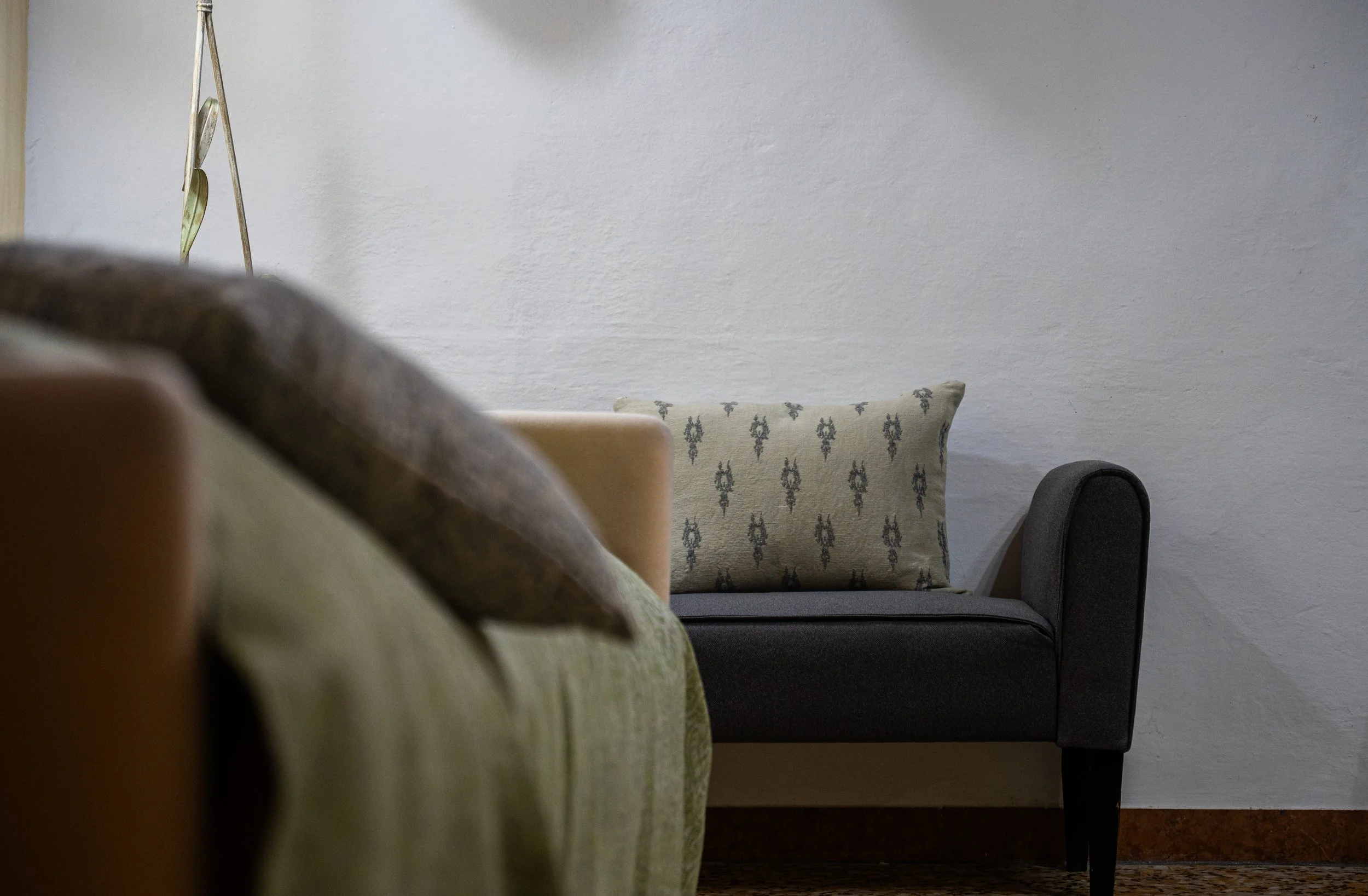 Soggiorno con divano, cuscino decorativo e parete bianca