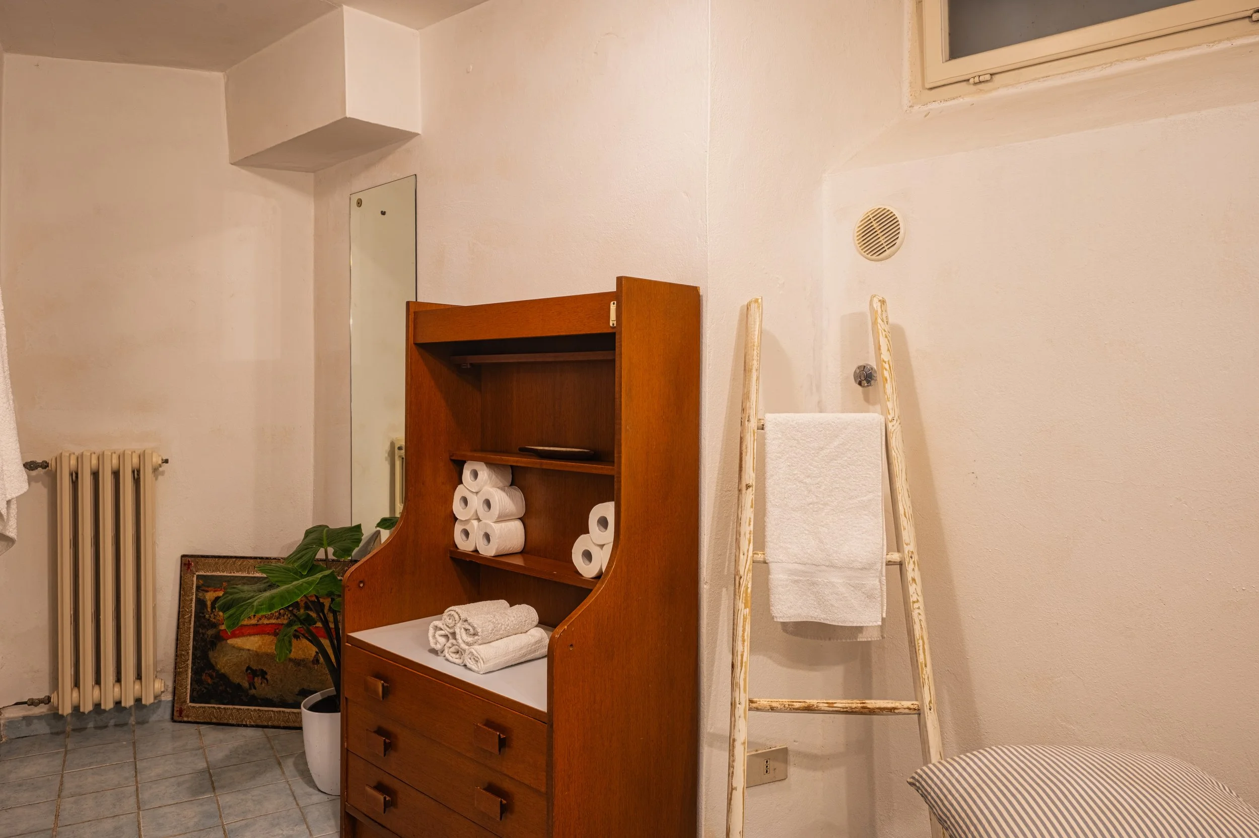 Interno di una stanza con scaffale in legno con rotoli di carta assorbente, asciugamani, una pianta, una cornice con quadro, una scaletta in legno con asciugamani, un termosifone e un quadro di uscita.