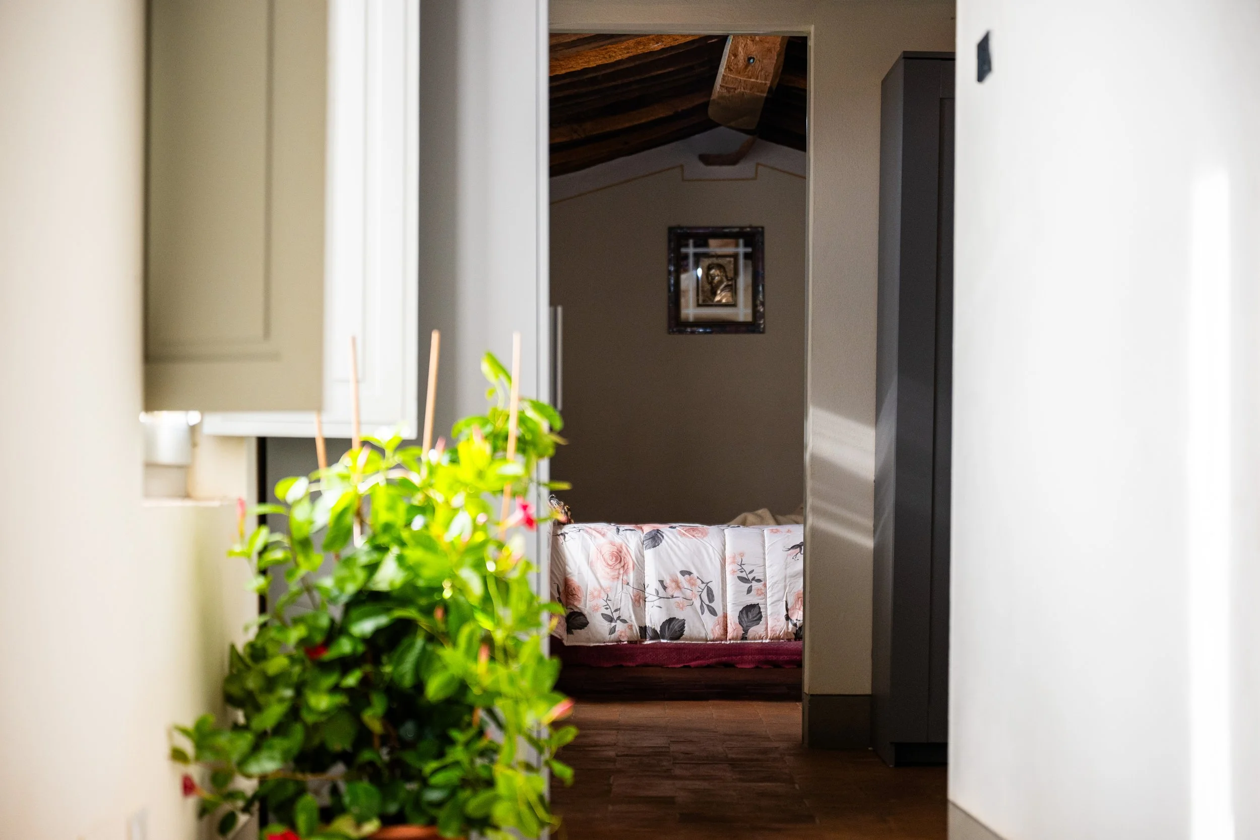 Vista di un corridoio che porta a una camera da letto, con un letto con copriletto floreale, una pianta in primo piano e un quadro appeso alla parete.
