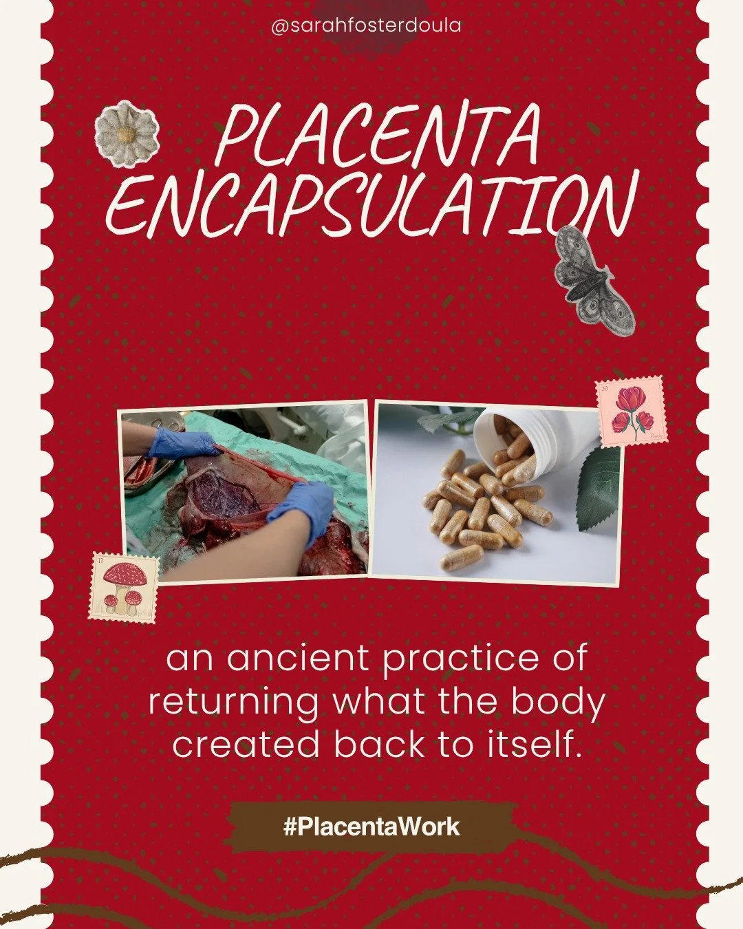 Healing after birth looks different for everyone. Some rest. Some move. Some turn toward plant medicine or ritual. And for some, that healing includes placenta encapsulation, an ancient practice of returning what the body created back to itself.

It&
