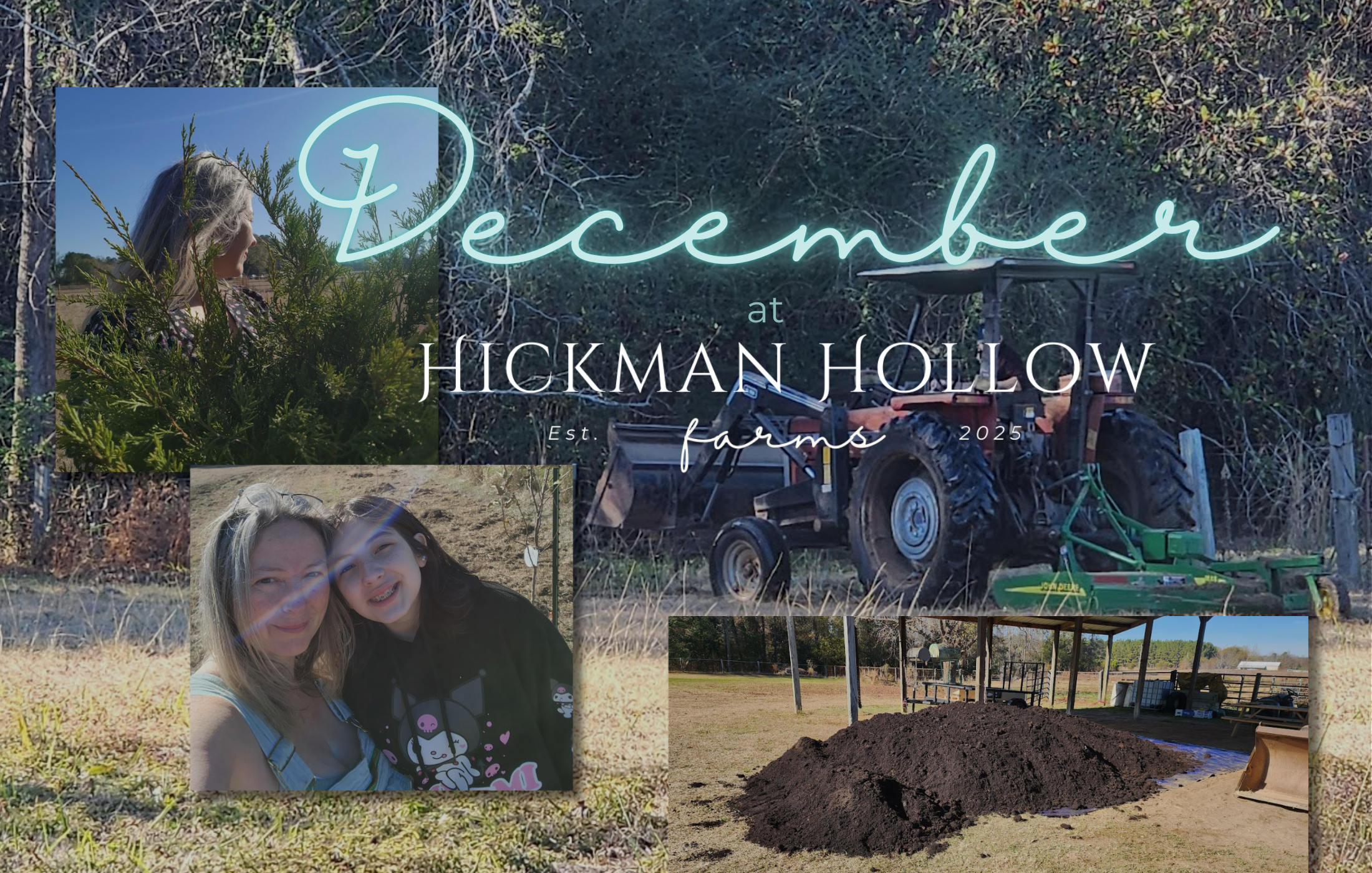 December at Hickman Hollow Farms