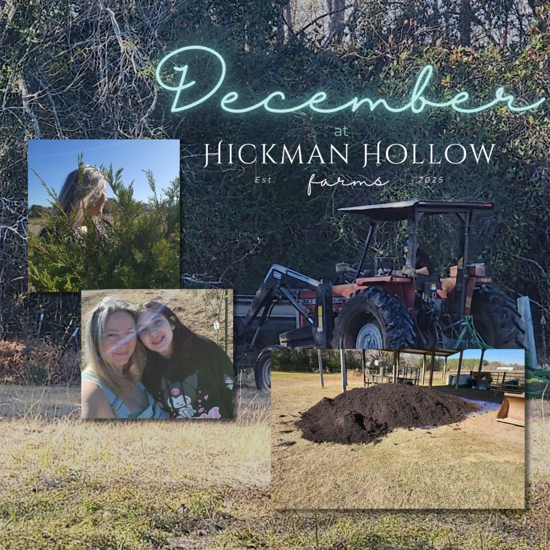 December on the farm was not quiet or cozy in the way people sometimes imagine winter to be. It was busy, messy, and full of firsts for us. We built our first greenhouse, planted the very first flowers and fruit trees on the farm, tackled more projec