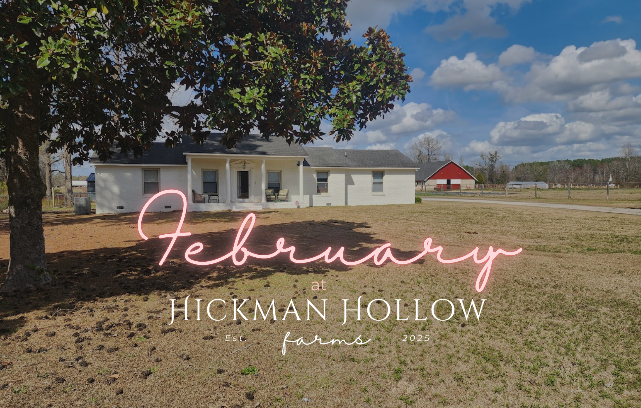 February at Hickman Hollow Farms