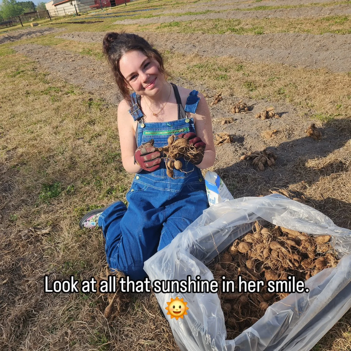 Planted close to 1,000 dahlias this last week and most days, it&rsquo;s just me out here working through row after row.

But this day I wasn't.

Saige came out and spent the afternoon helping me plant, sitting across from me in the dirt, working tube