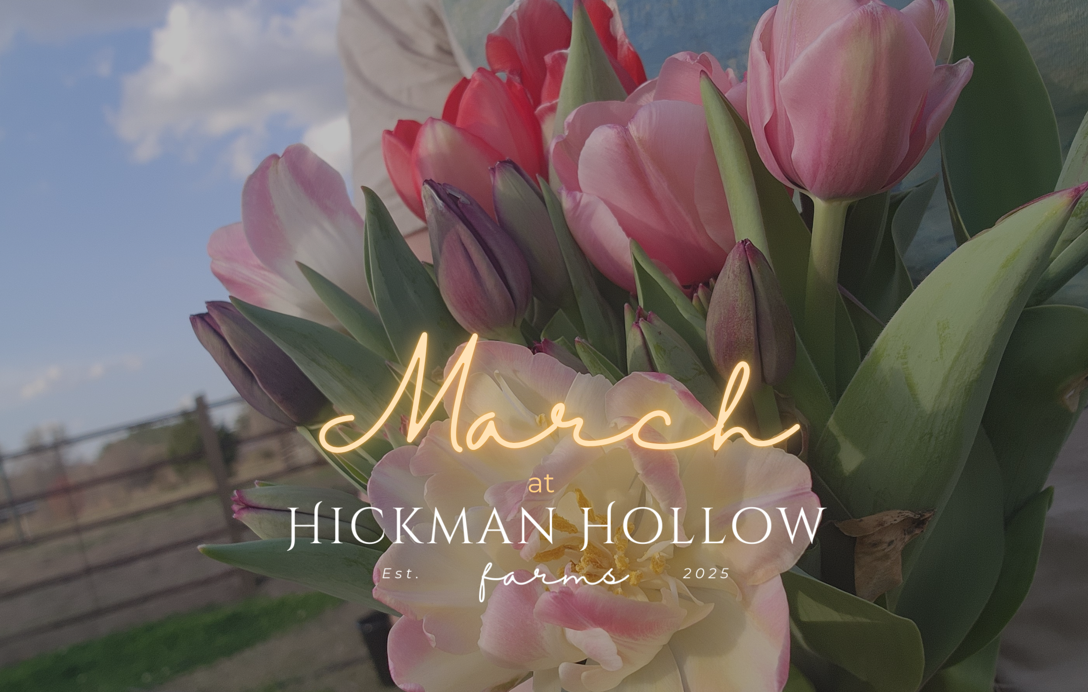 March at Hickman Hollow Farms