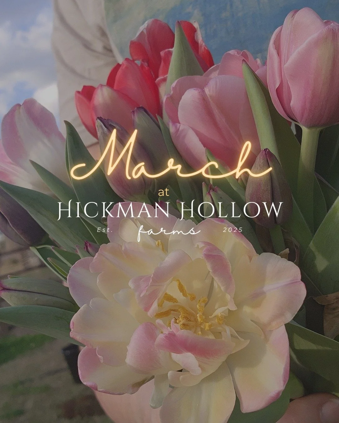 I usually try to get these blog posts out earlier, but March was incredibly busy and didn't leave much time for me to spend writing. April is already proving to be just as chaotic. But better late than never for our March on the farm update!

What st