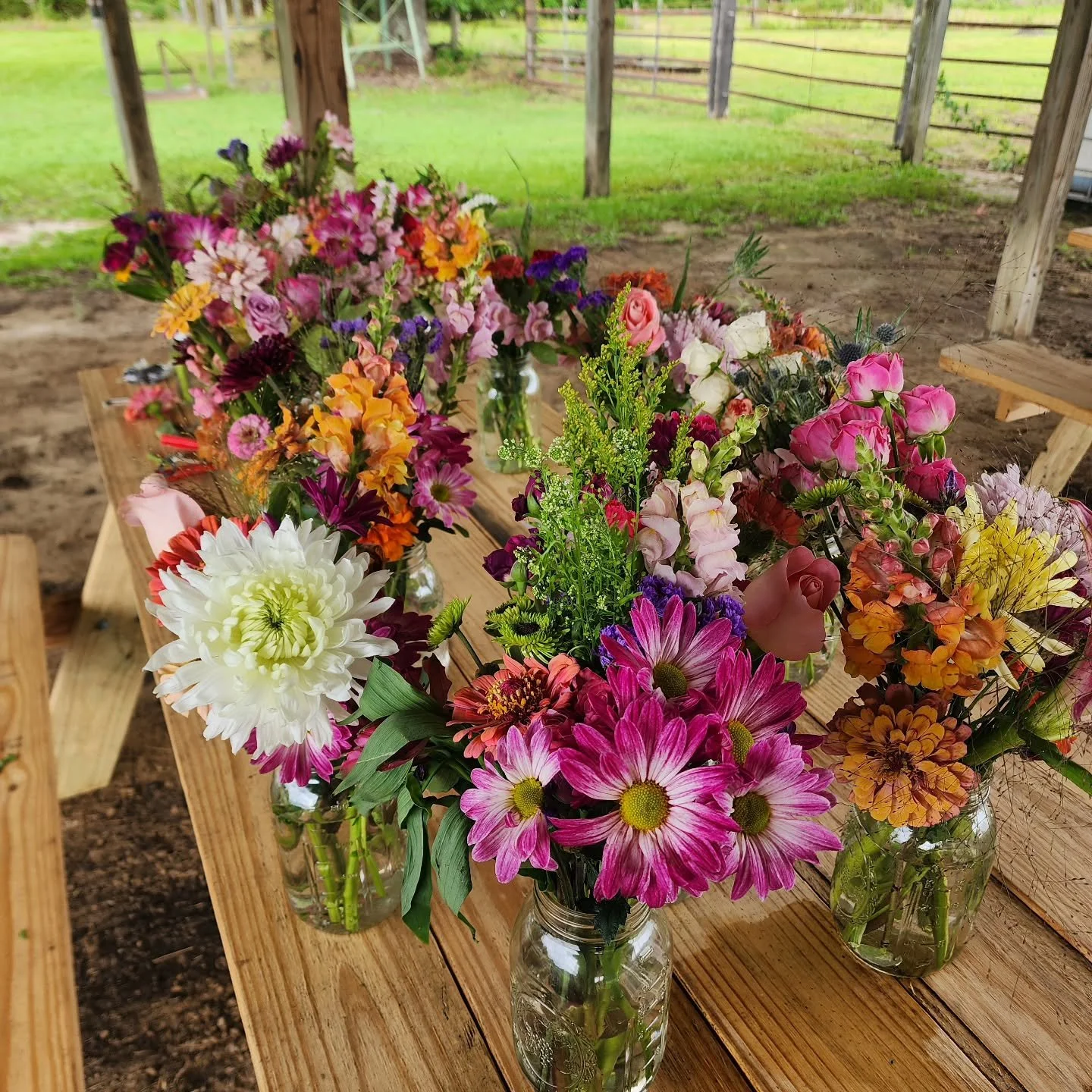 Picking the flowers for my daughter's graduation party today was the highlight of my morning. 🩷

#scflowers #southcarolinaflowerfarm #southcarolinaagritourism #flowerfarming #UPickFlowers