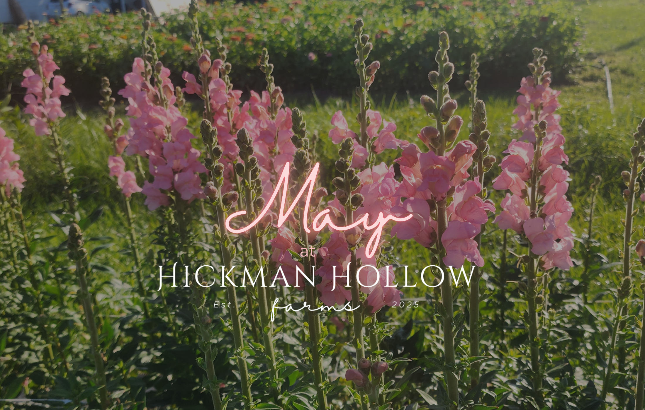 May at Hickman Hollow Farms