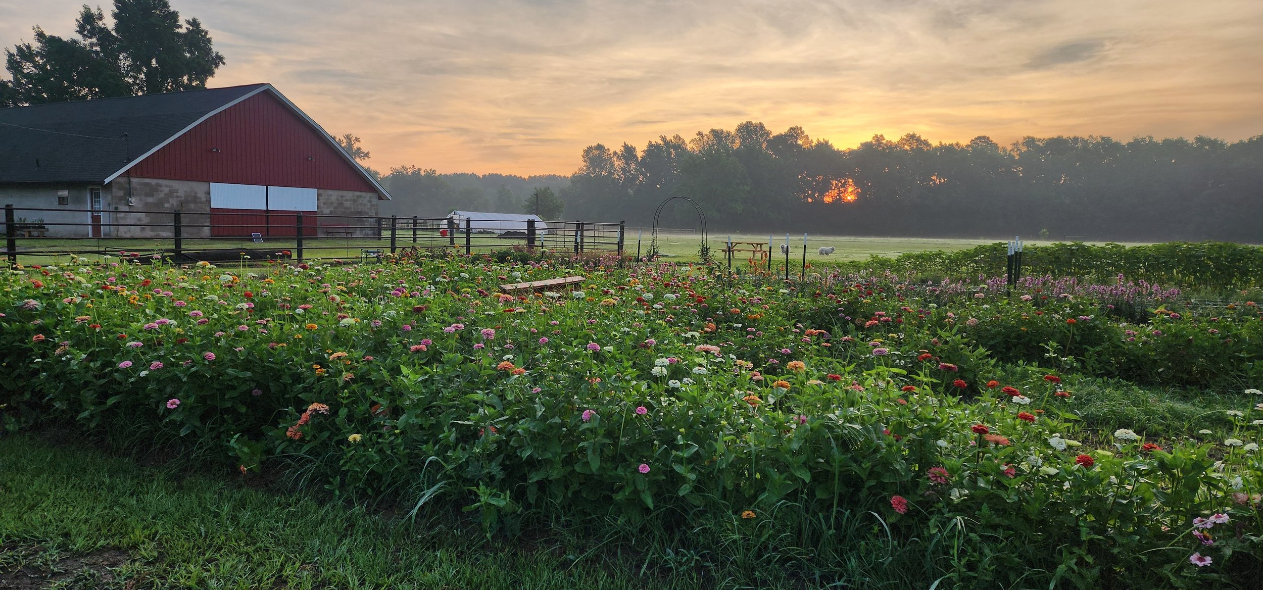 So What's Next for Hickman Hollow Farms?
