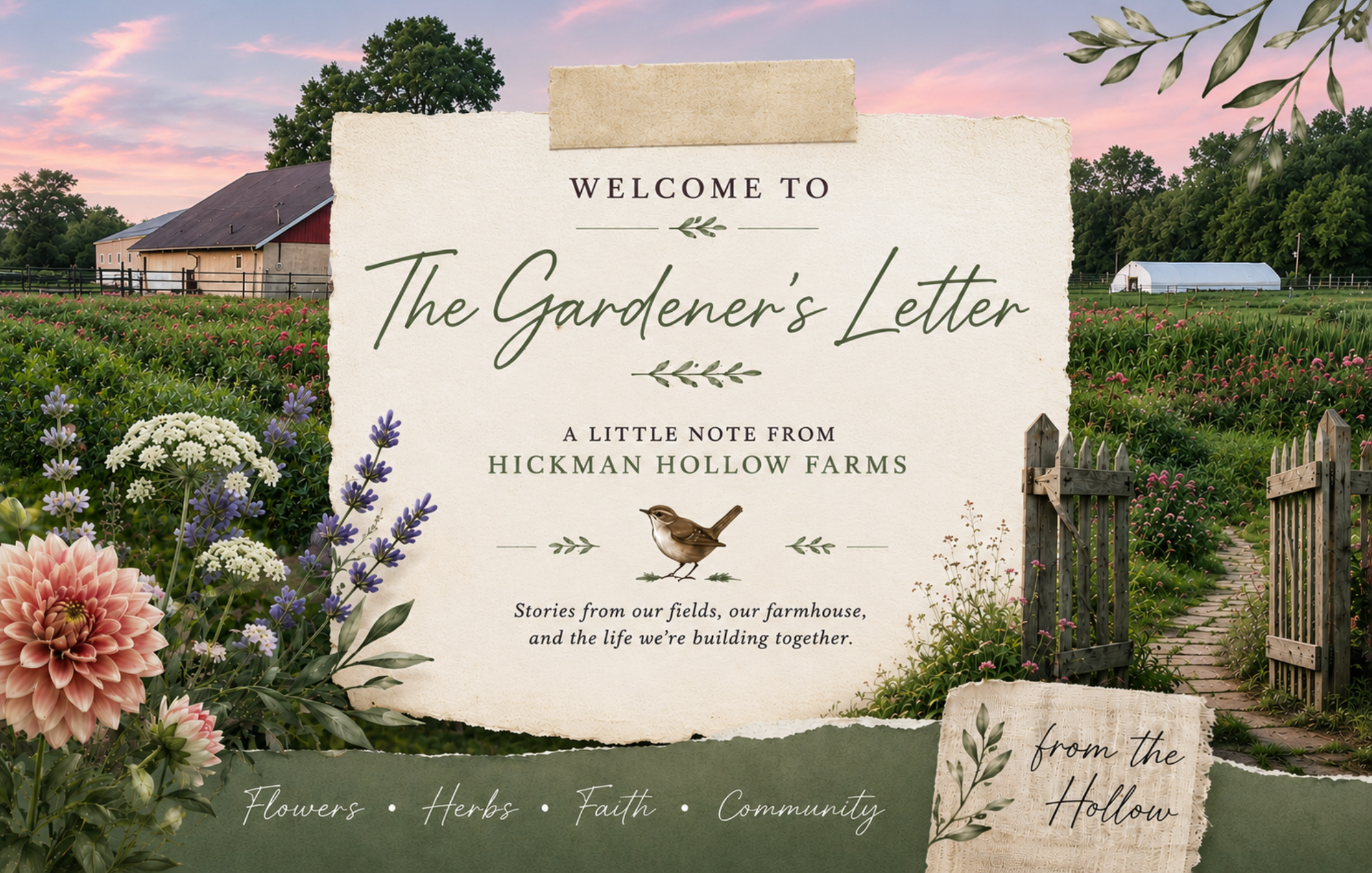 Welcome to The Gardener’s Letter