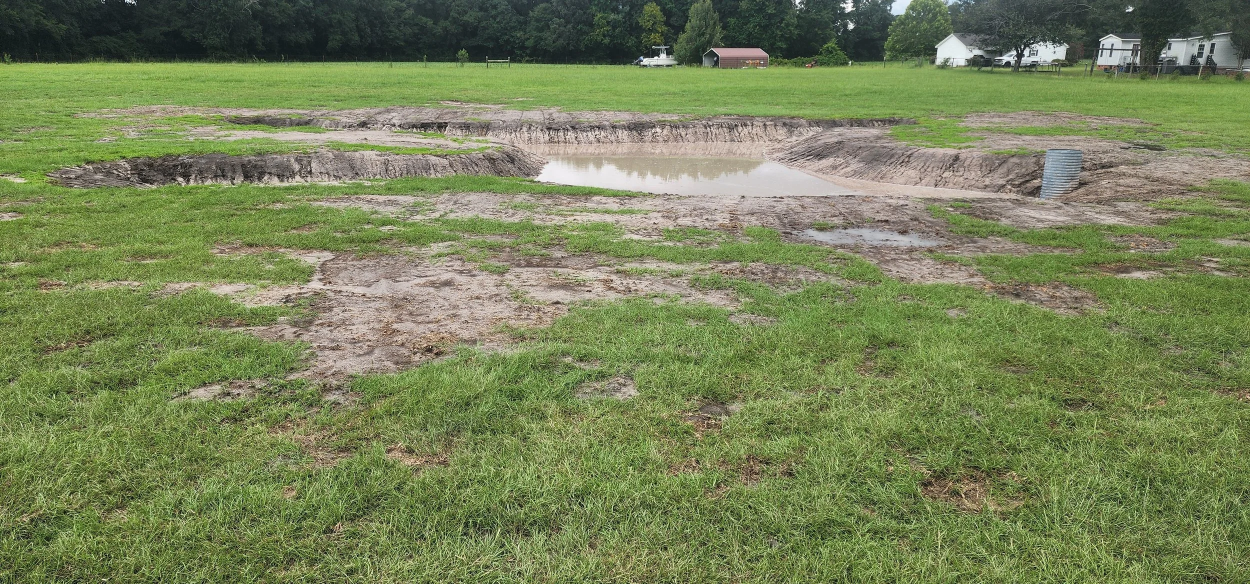 Duck Pond