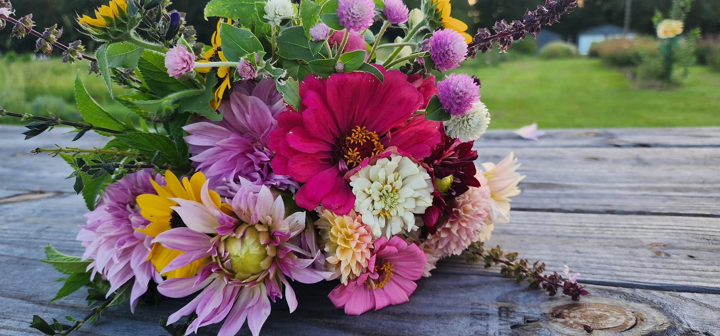 Flowers from the u-pick