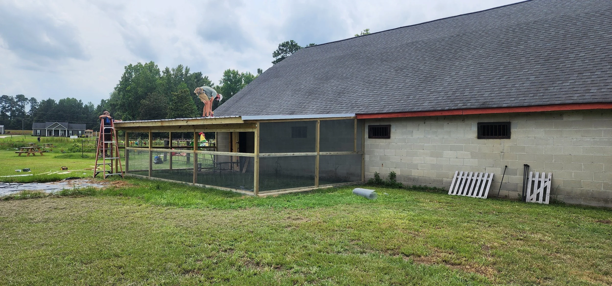 Chicken Run Build