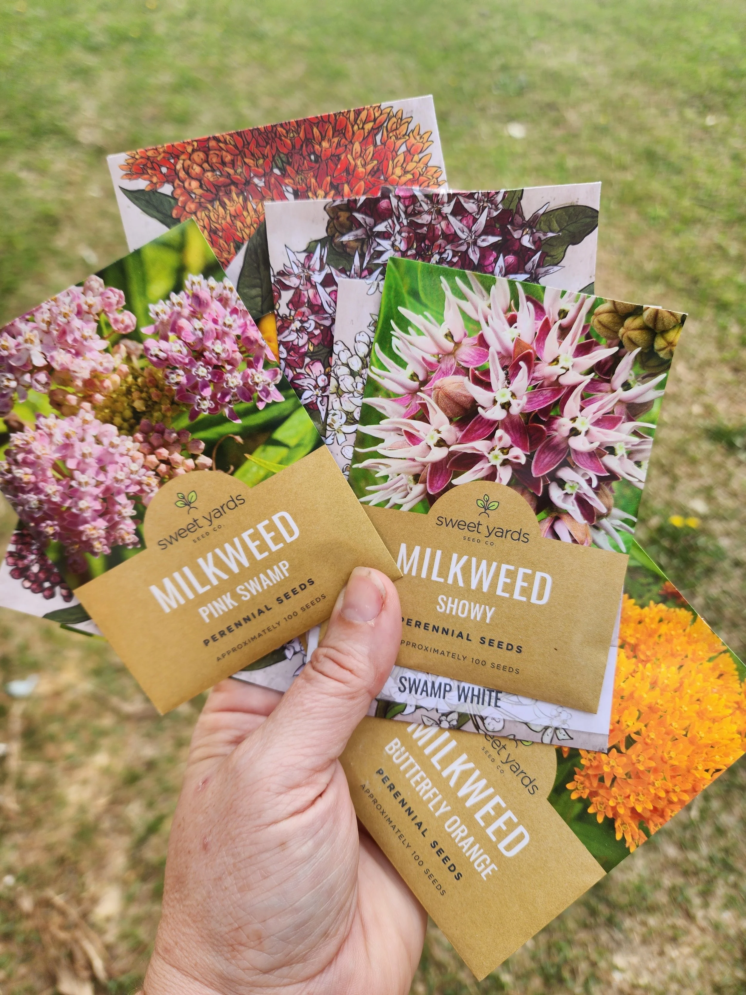 Milkweed Varieties