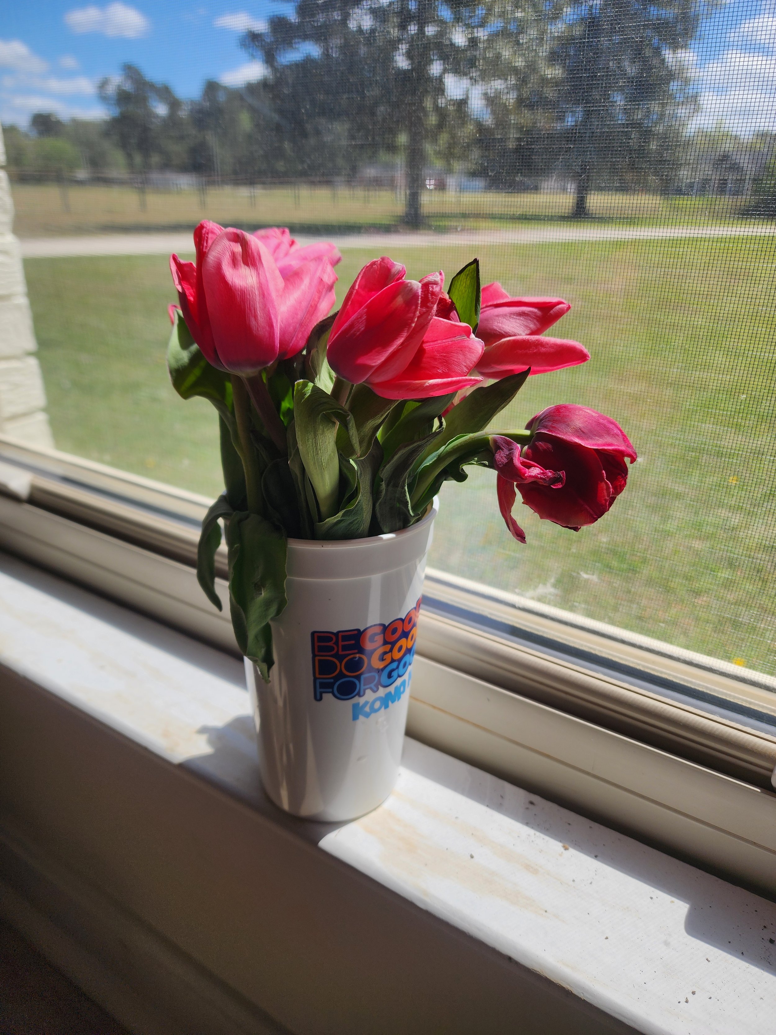 4 week post harvest shriveled up