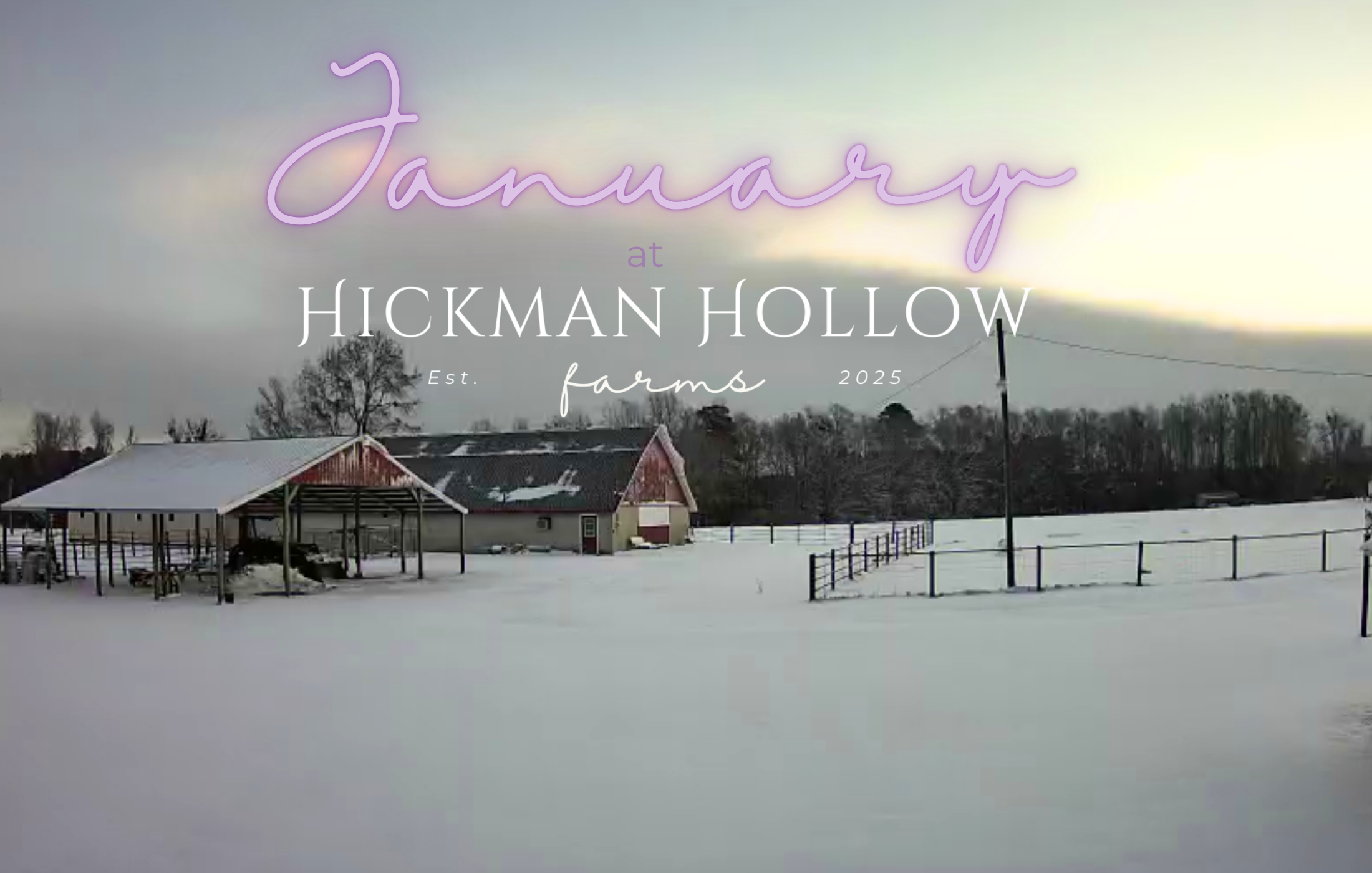 January at Hickman Hollow Farms