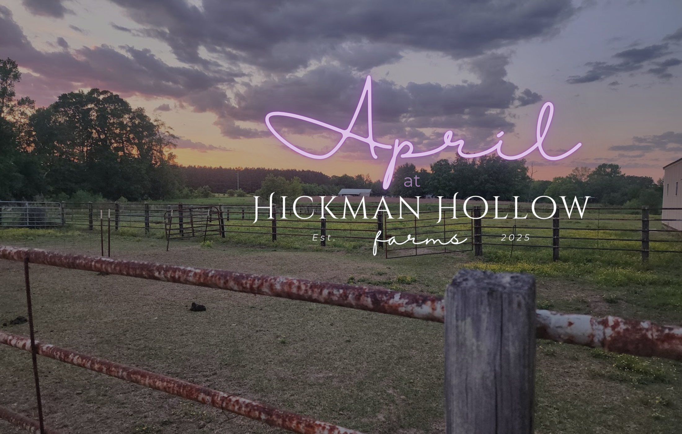 April at Hickman Hollow Farms