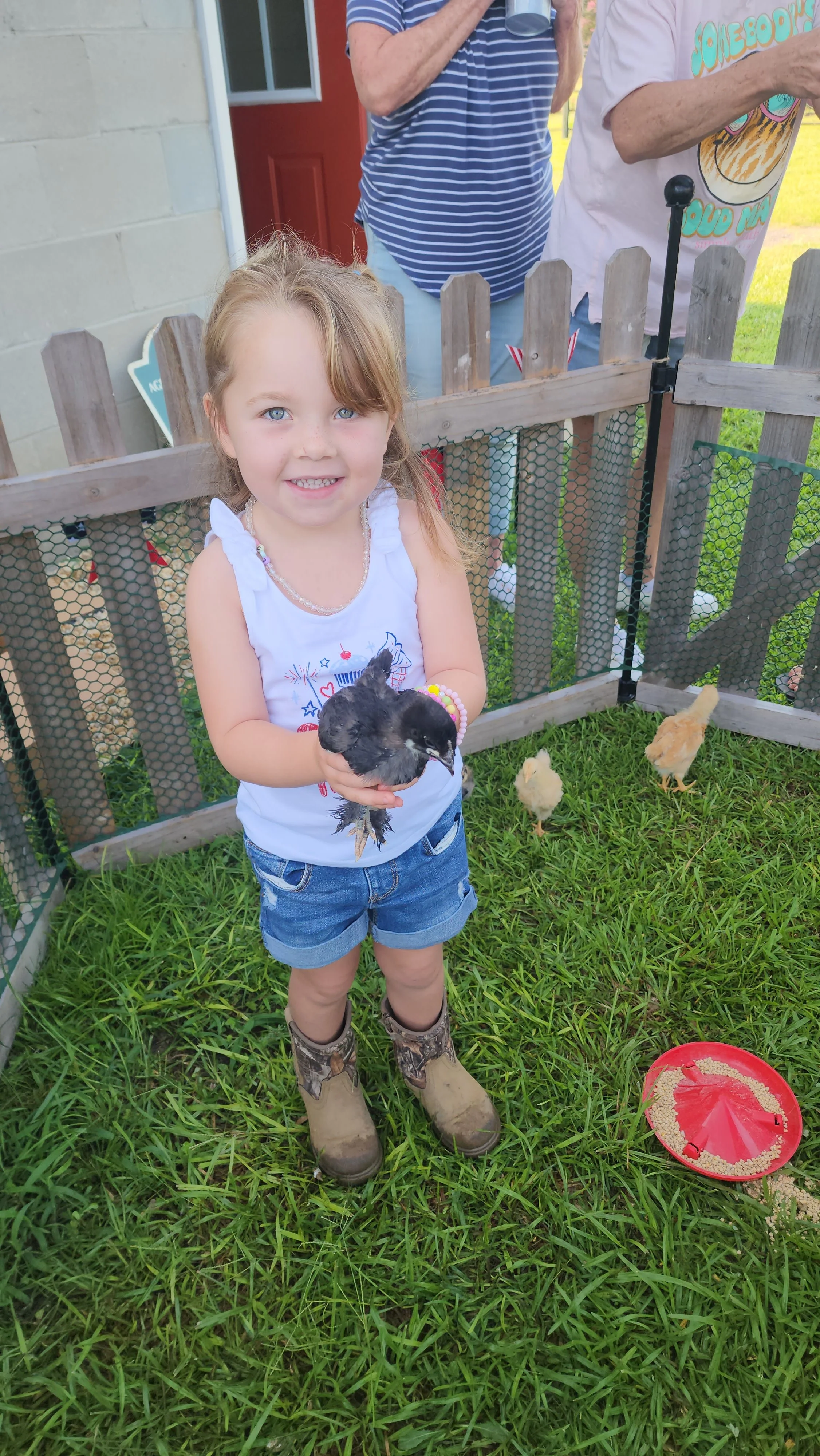 Kids holding baby chicks