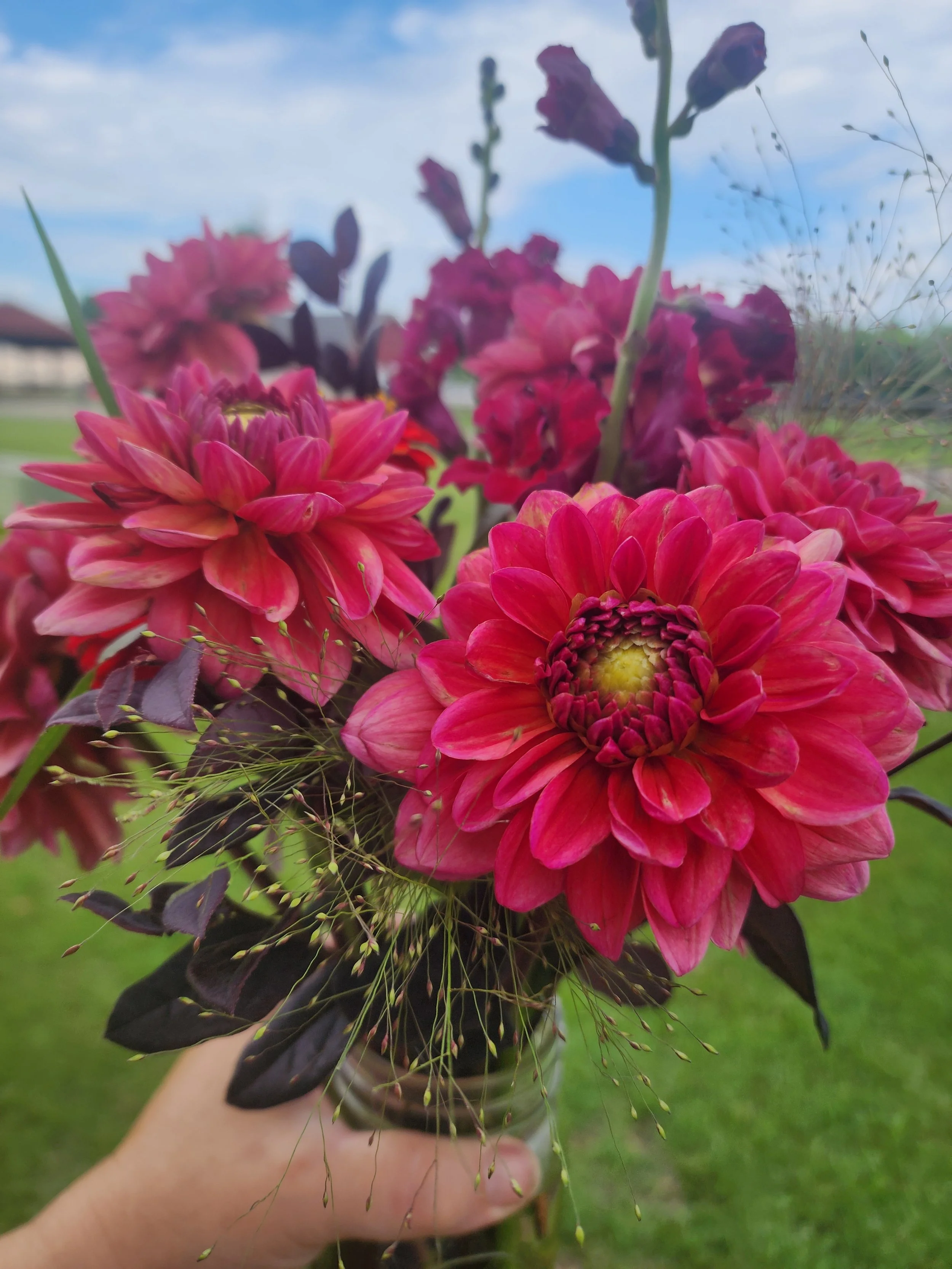Salmon Runner Dahlia Bouquet
