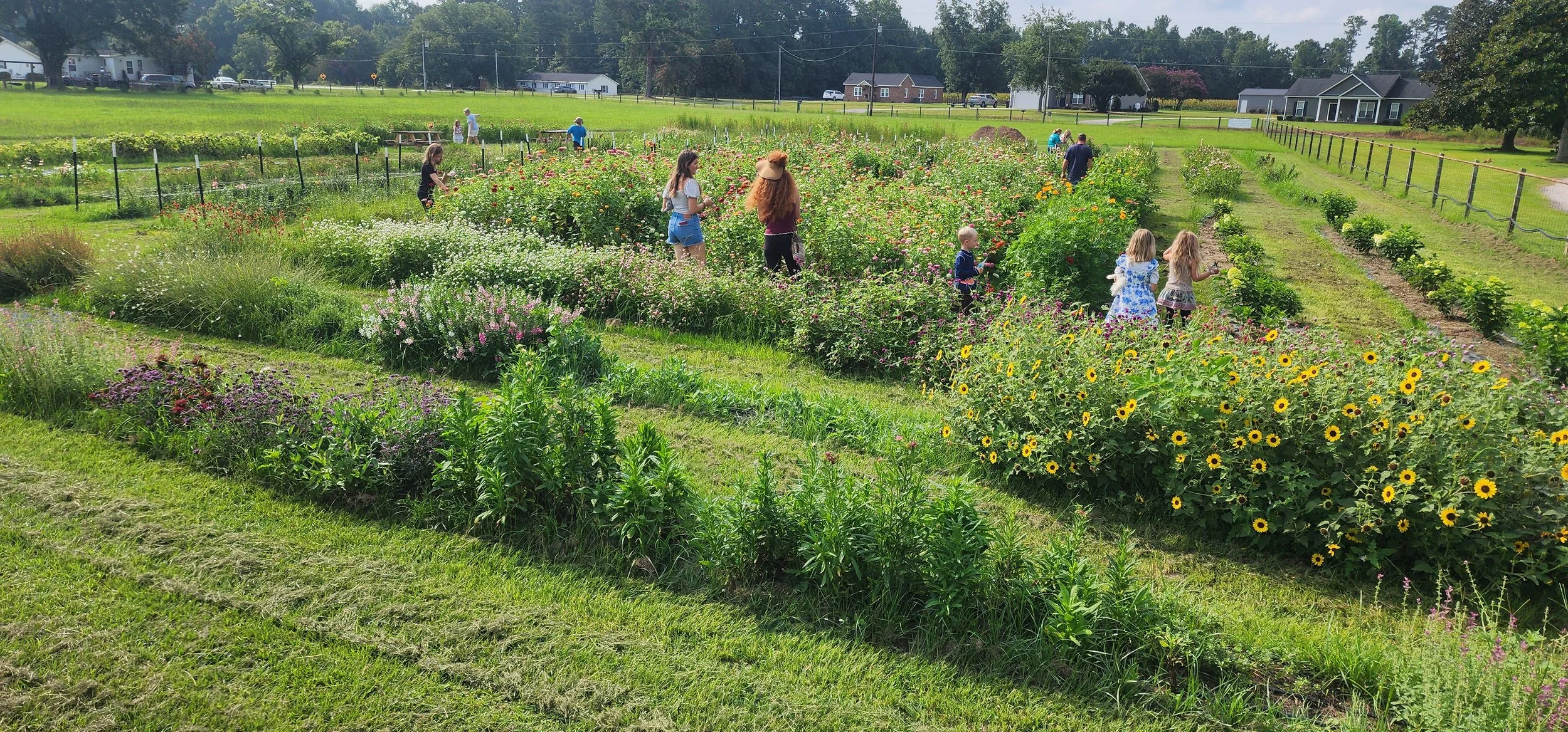 Picking flowers