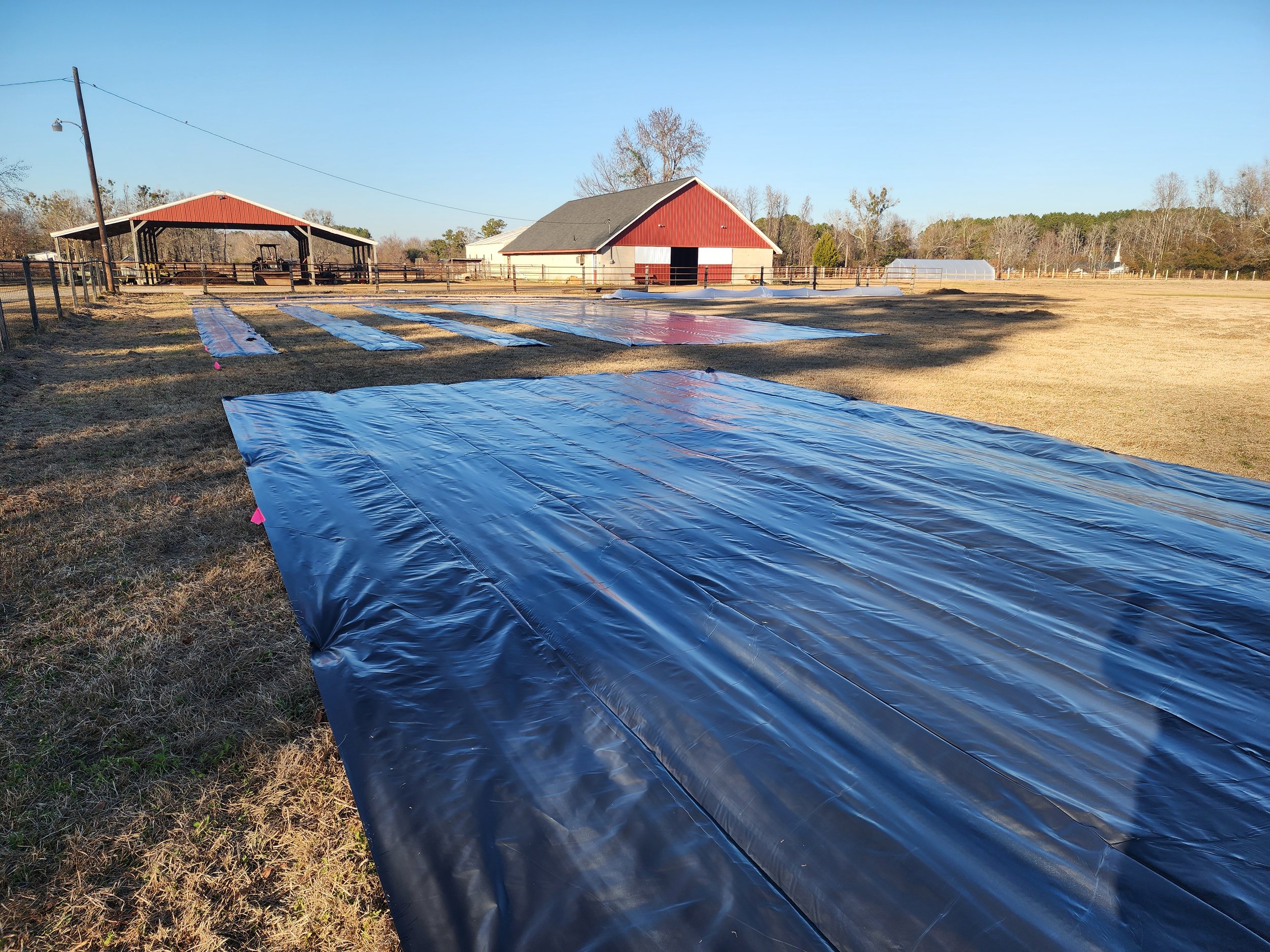 Silage on flower beds