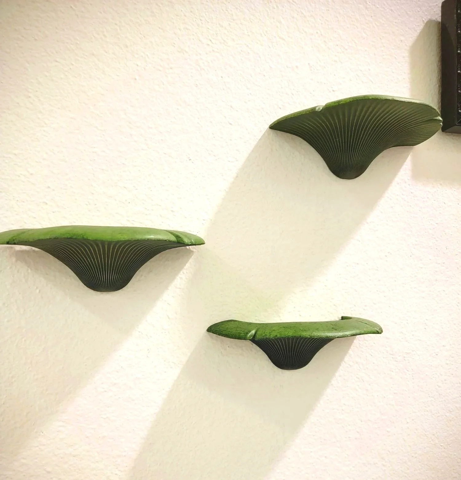 Green mushroom shelves mounted on the wall