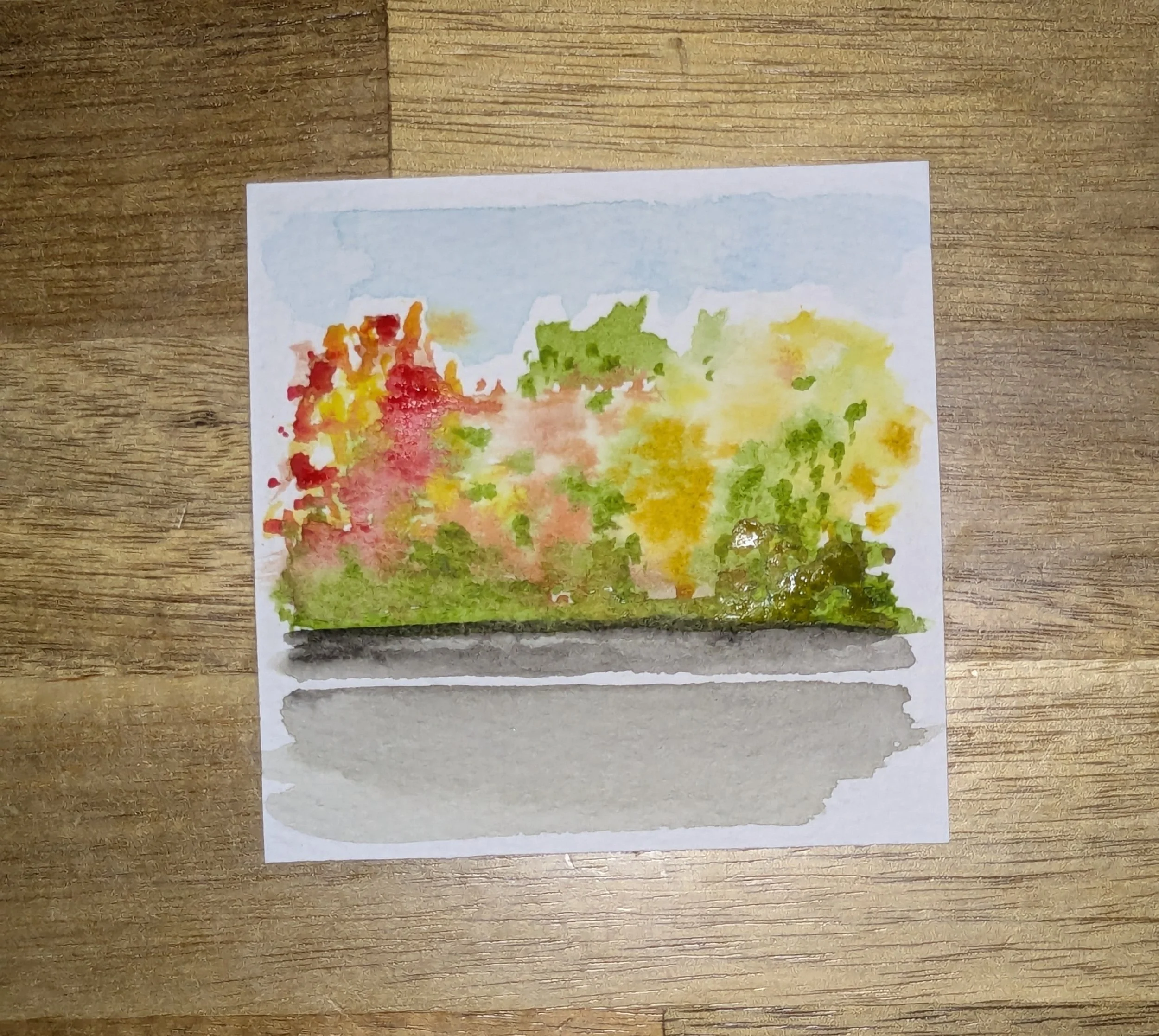 fall foliage in a parking loty