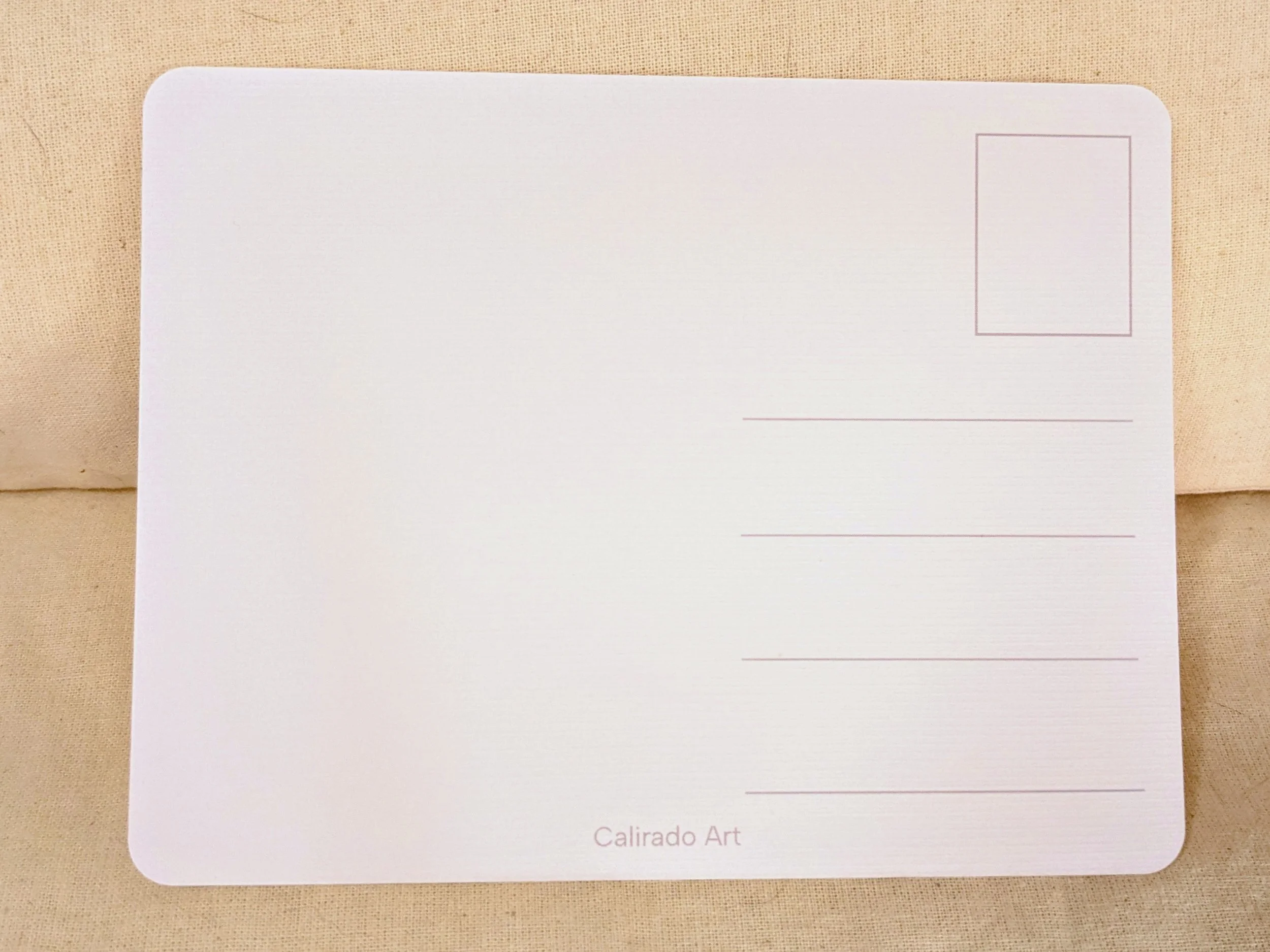 PXL_20251129_172731803~2.jpg (Copy)