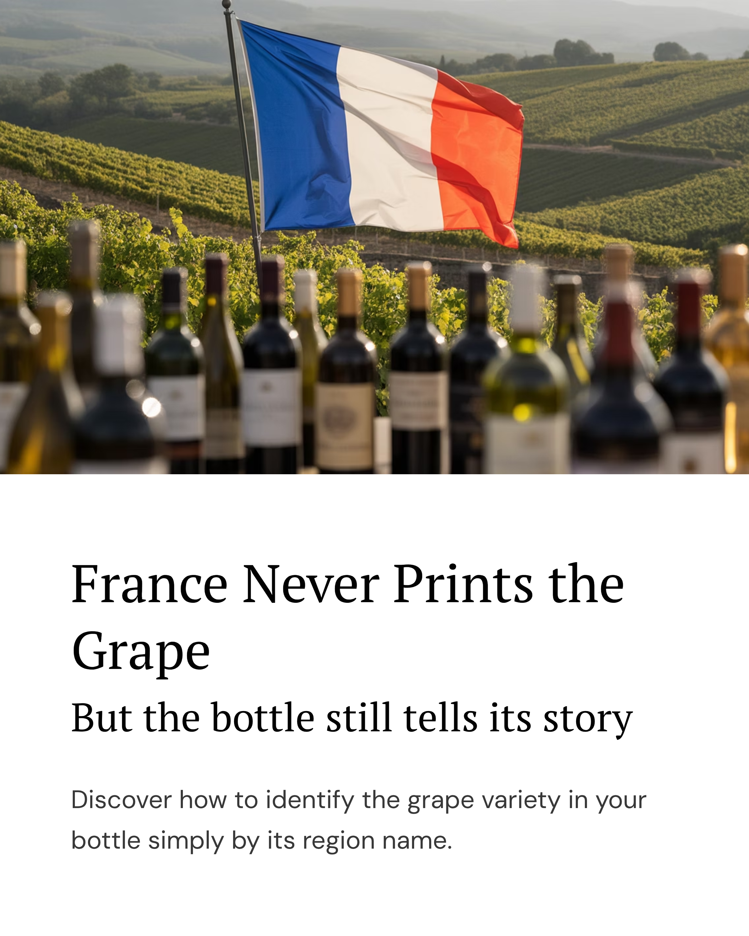 A French flag waving in a vineyard with rows of grapevines in the background and bottles of wine in the foreground.