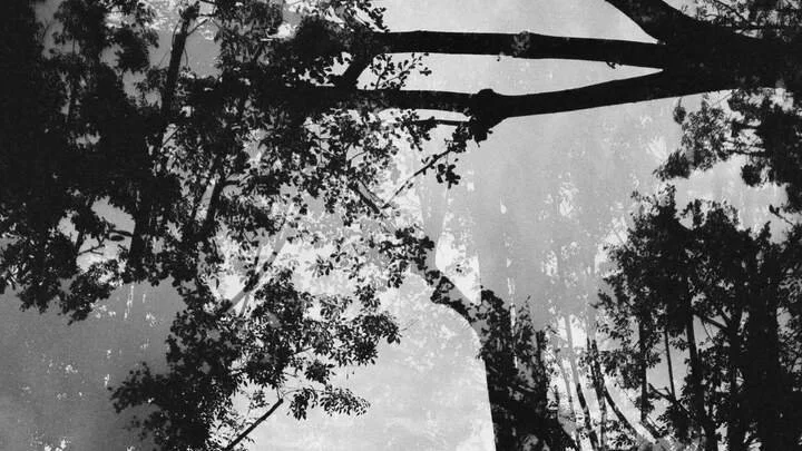 Ash Wednsday Service