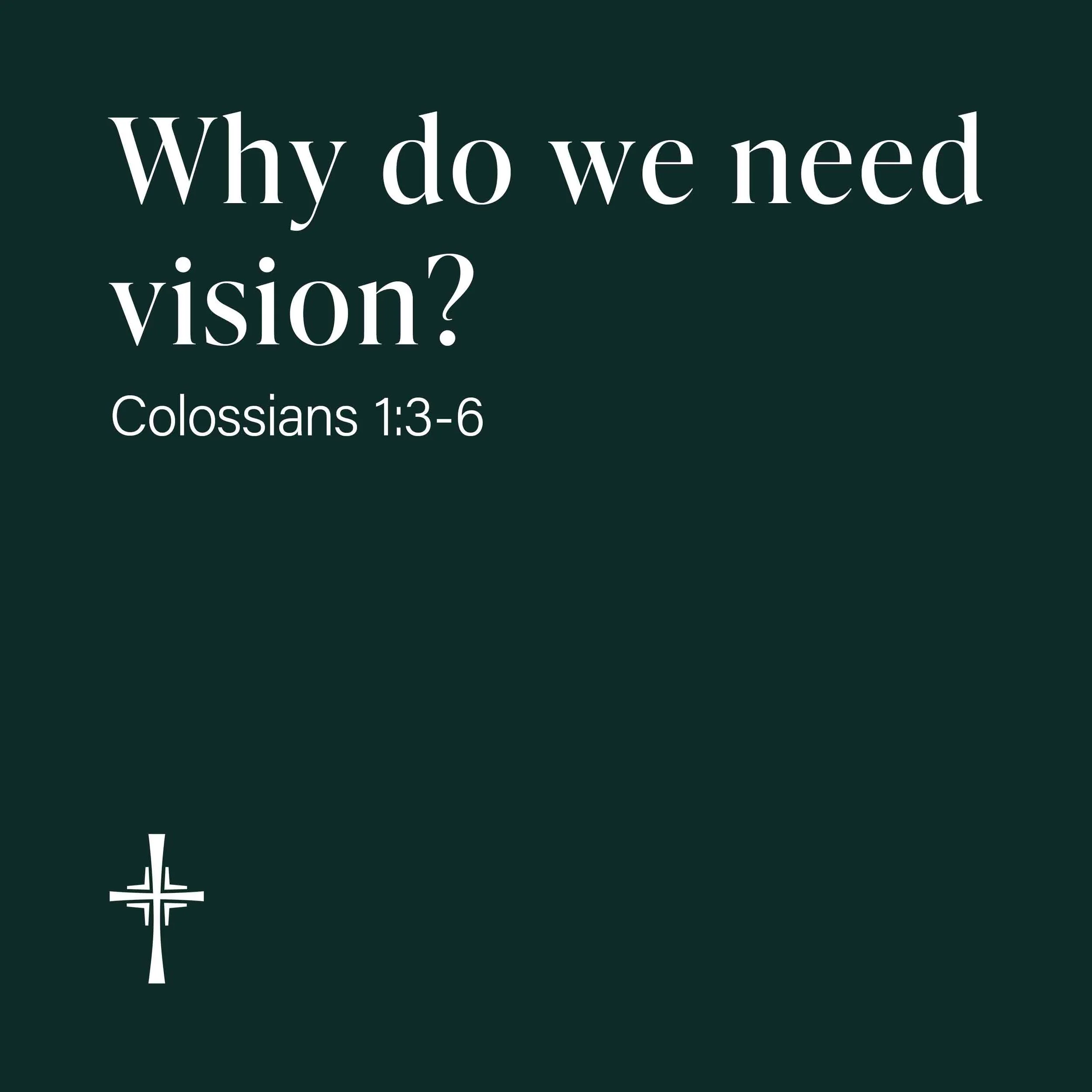 Why do we need vision?