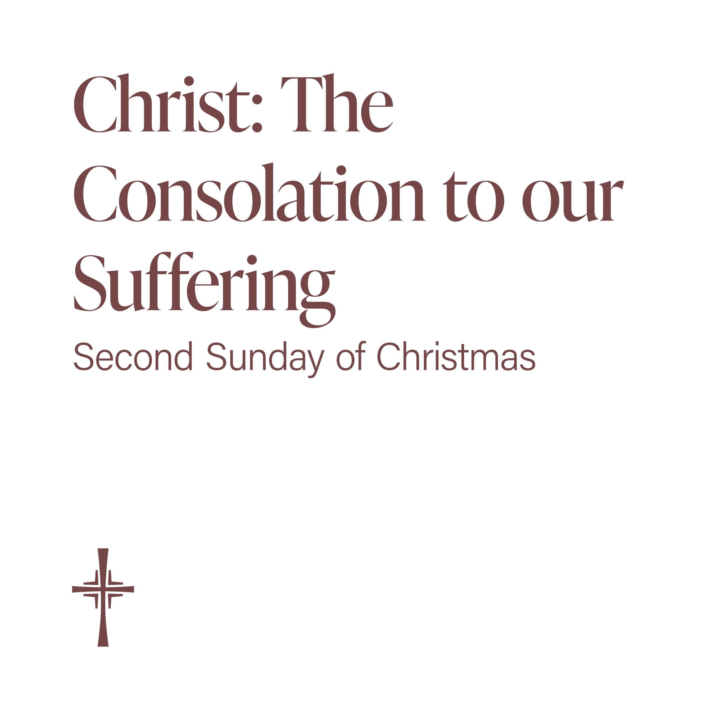 Christ: the Consolation to our Suffering