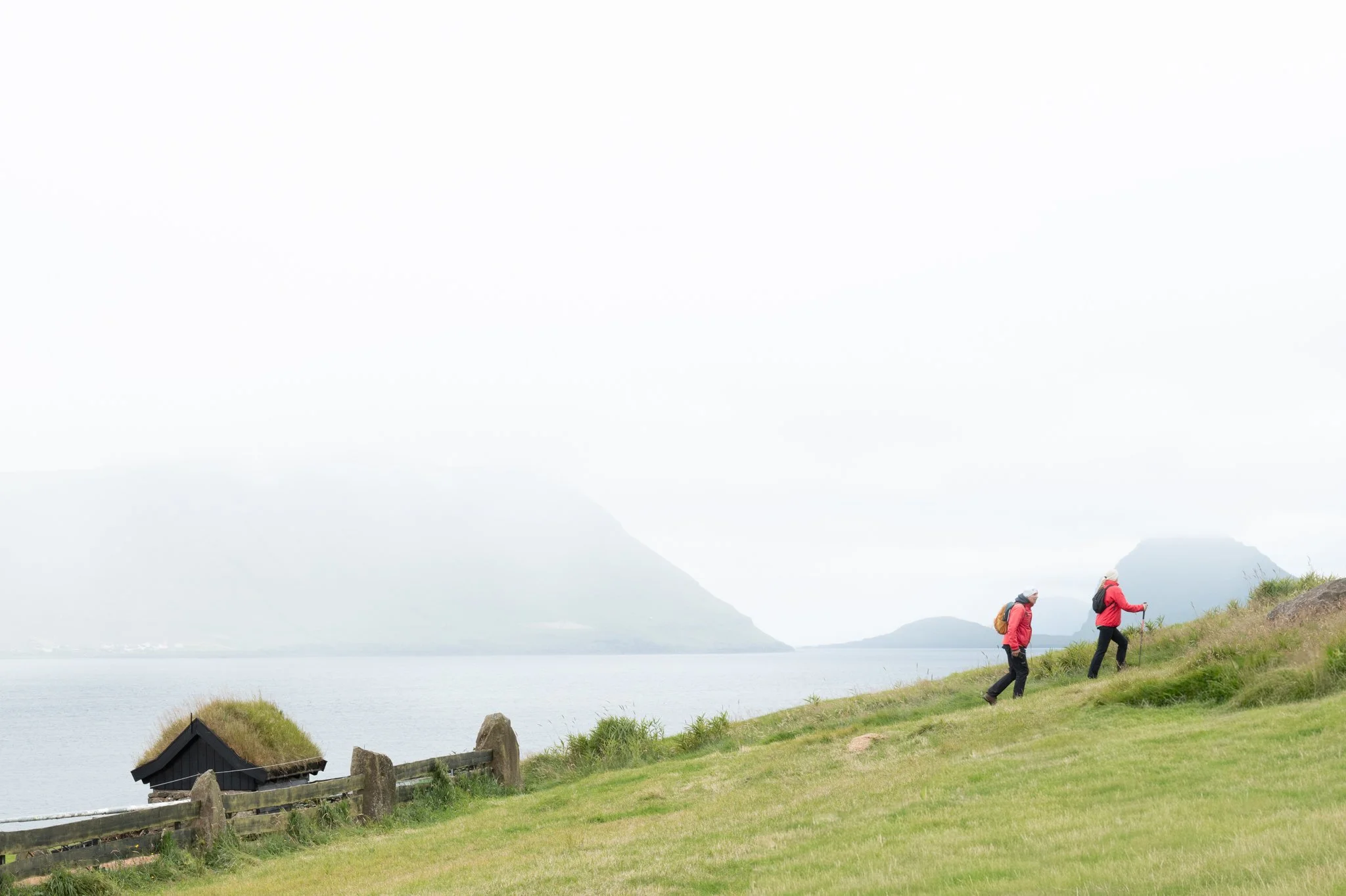 L1020708.jpg