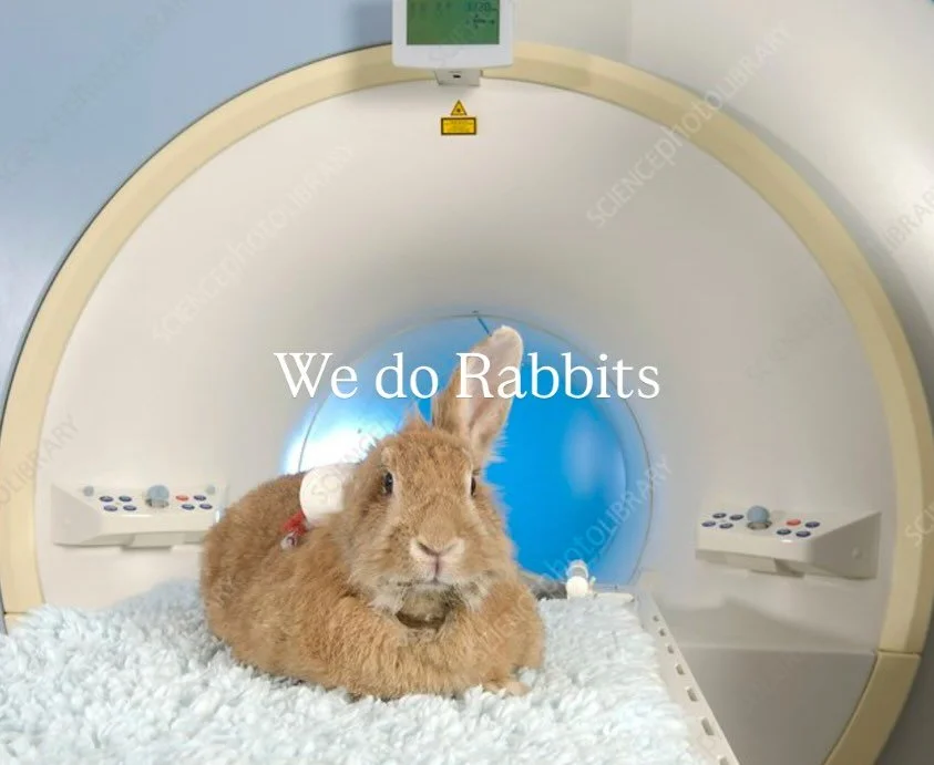 RadVet is coming 💪🏼