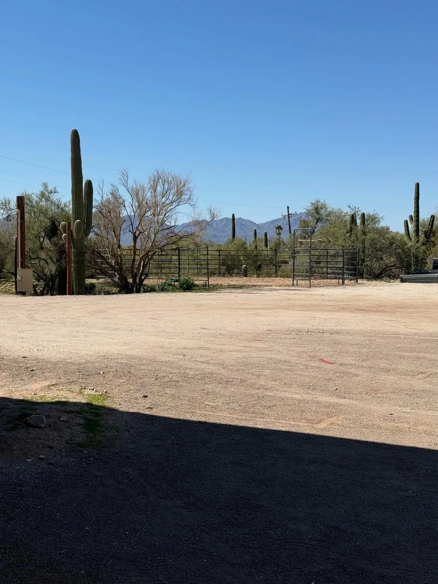 Building site cleared, WE ARE READY!!!! Follow along for the creation of RadVet. Best imaging ever 💪🏼