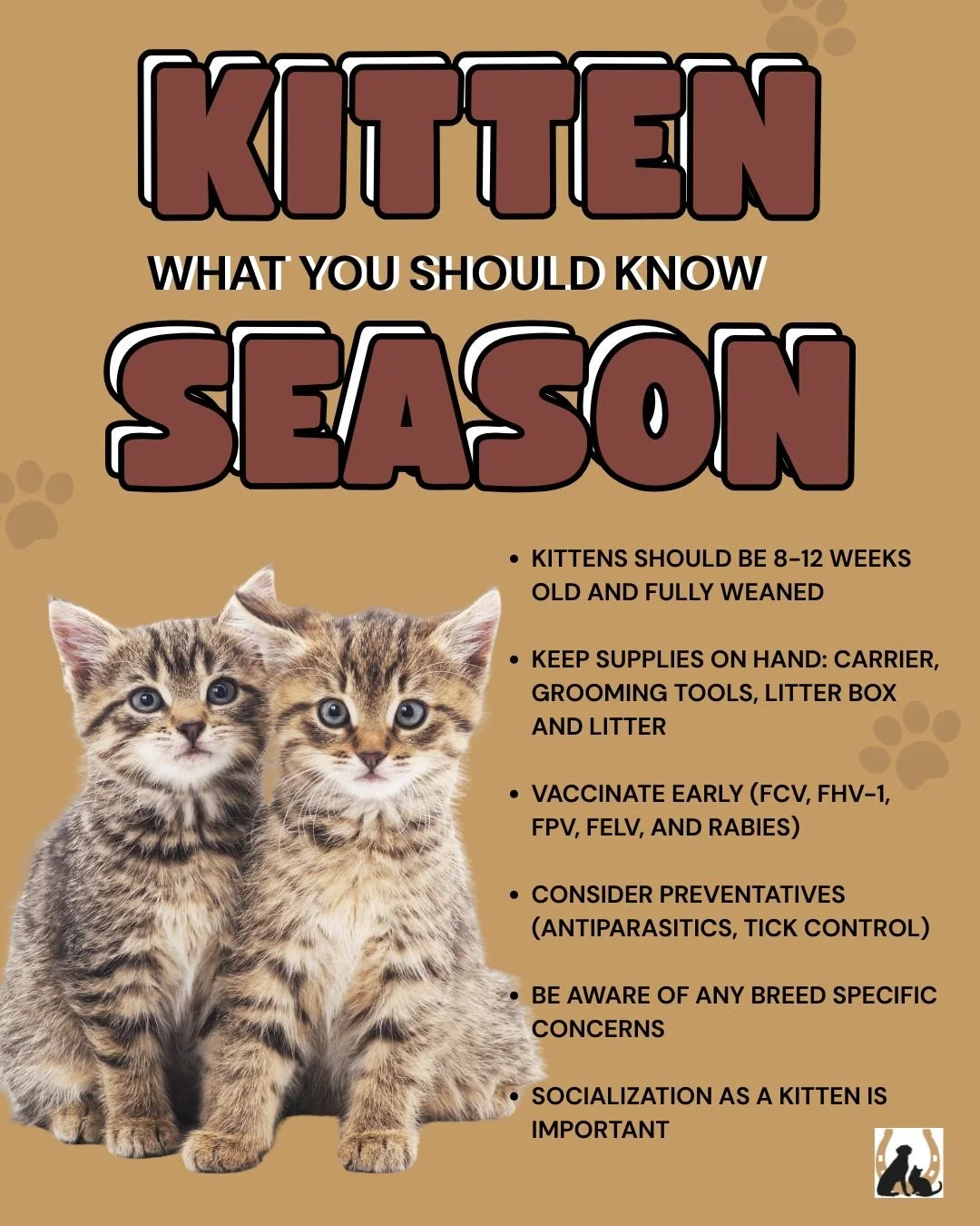 Kitten season is here! 🐾

Thinking about bringing home a new furry family member? The first few weeks play a huge role in setting your kitten up for a lifetime of good health.

Here are a few things to keep in mind:
🐱 Adopt kittens that are at leas