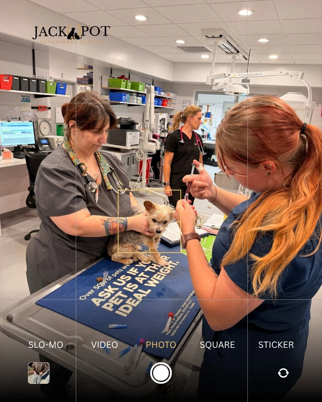 🌵 &ldquo;Heartworm prevention? We live in Tucson. There aren&rsquo;t mosquitoes here.&rdquo;

We hear this more often than you might think!

Yes, Tucson is a desert but desert doesn&rsquo;t mean mosquito-free. 🦟 Monsoon season makes that especially