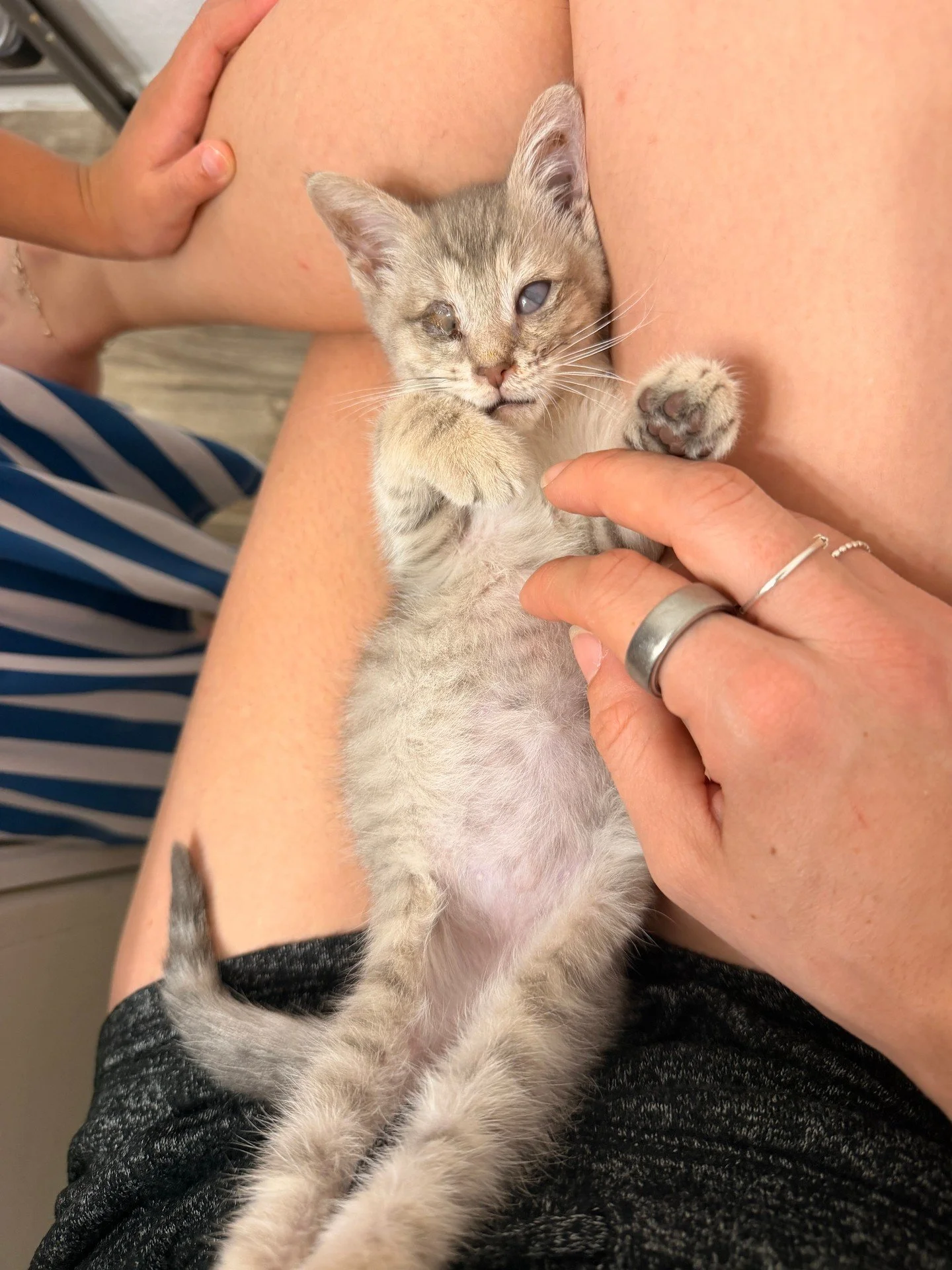 🐾 Meet Captain Jack Sparrow: The Beginning of Sparrow&rsquo;s Journey 🏴&zwj;☠️❤️

Sometimes, the smallest patients leave the biggest impression on us.

A few weeks ago, one of our clients, Jennifer, found a tiny kitten on the road in pretty rough c