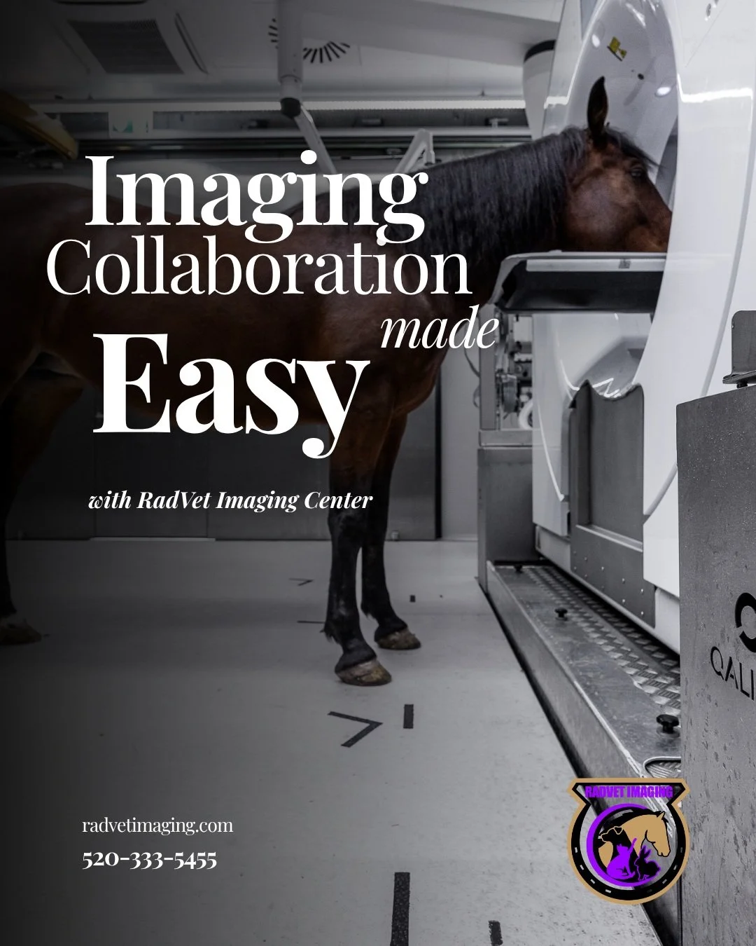 RadVet Imaging Center was built to work alongside referring veterinarians, providing access to advanced imaging and board certified radiology support when a case needs a closer look.

Our goal is simple: give you the diagnostic information you need w