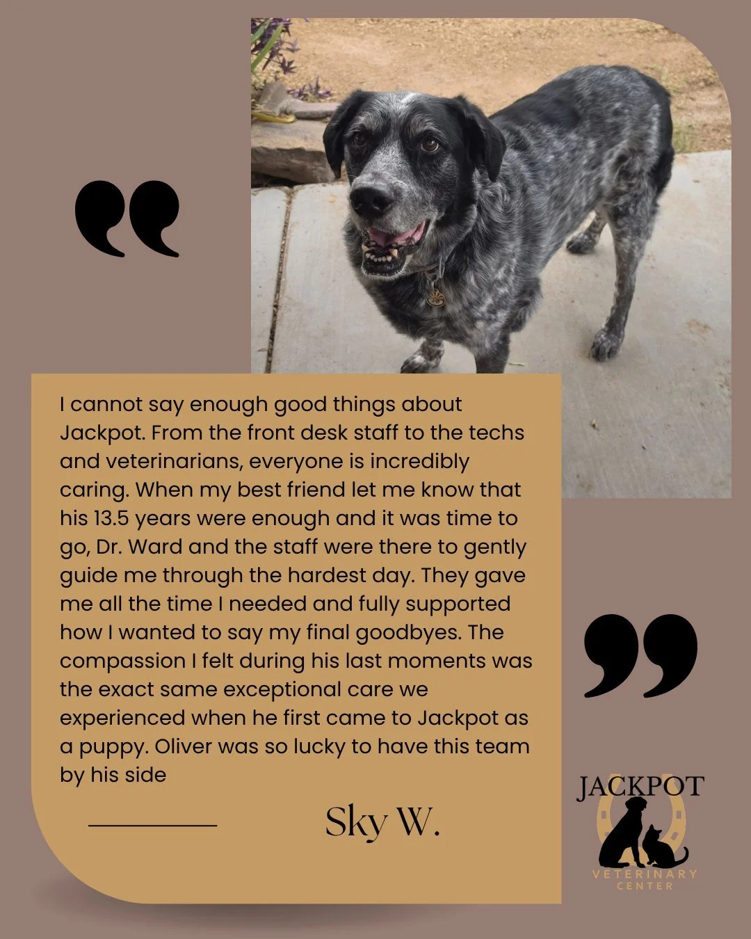 From their very first puppy or kitten visit to their golden years, it&rsquo;s an honor to be there for every chapter. ❤️🐾

You trust us with so much more than your pet&rsquo;s health. You trust us to care for a beloved member of your family through 