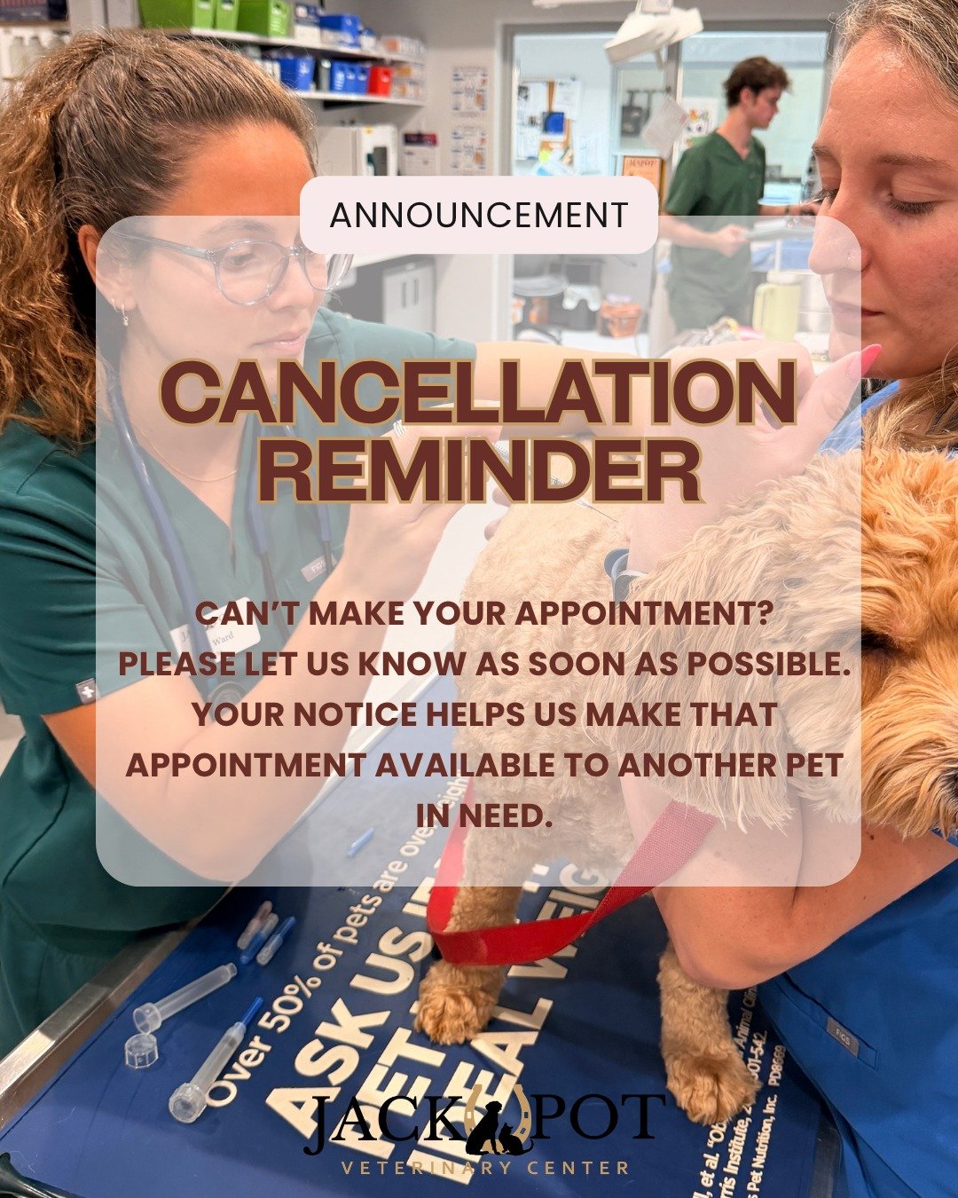 A friendly reminder about our cancellation policy💛

We know life happens! If you&rsquo;re unable to make it to your pet&rsquo;s scheduled appointment, please let us know as soon as possible.

When you schedule an appointment, that time is reserved j